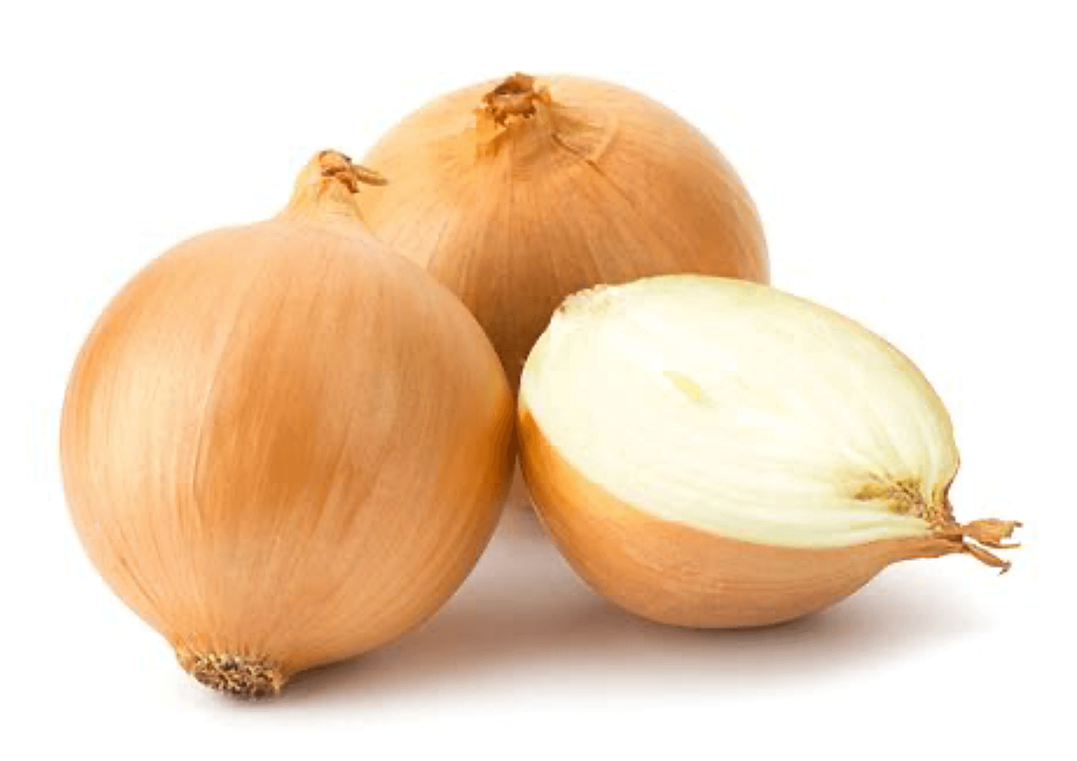 Onion [Liria]