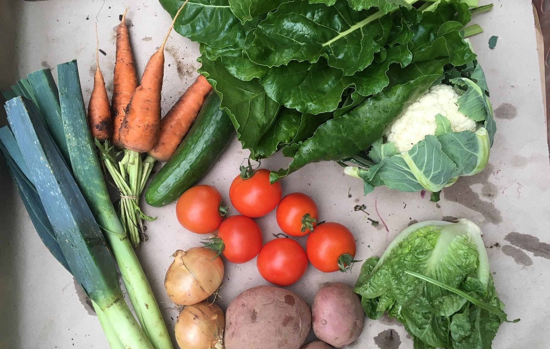 Image of Veg Box - Small