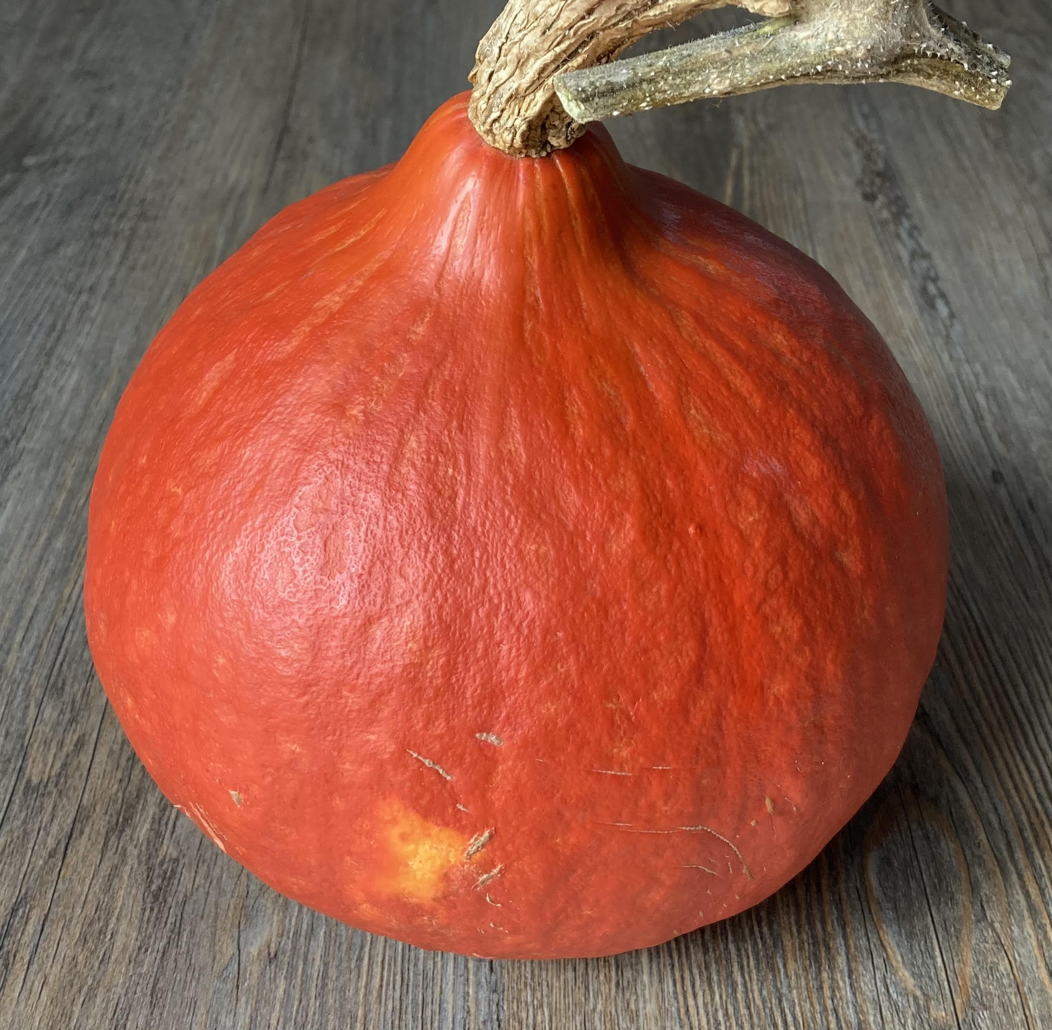 Image of Seasonal Specials