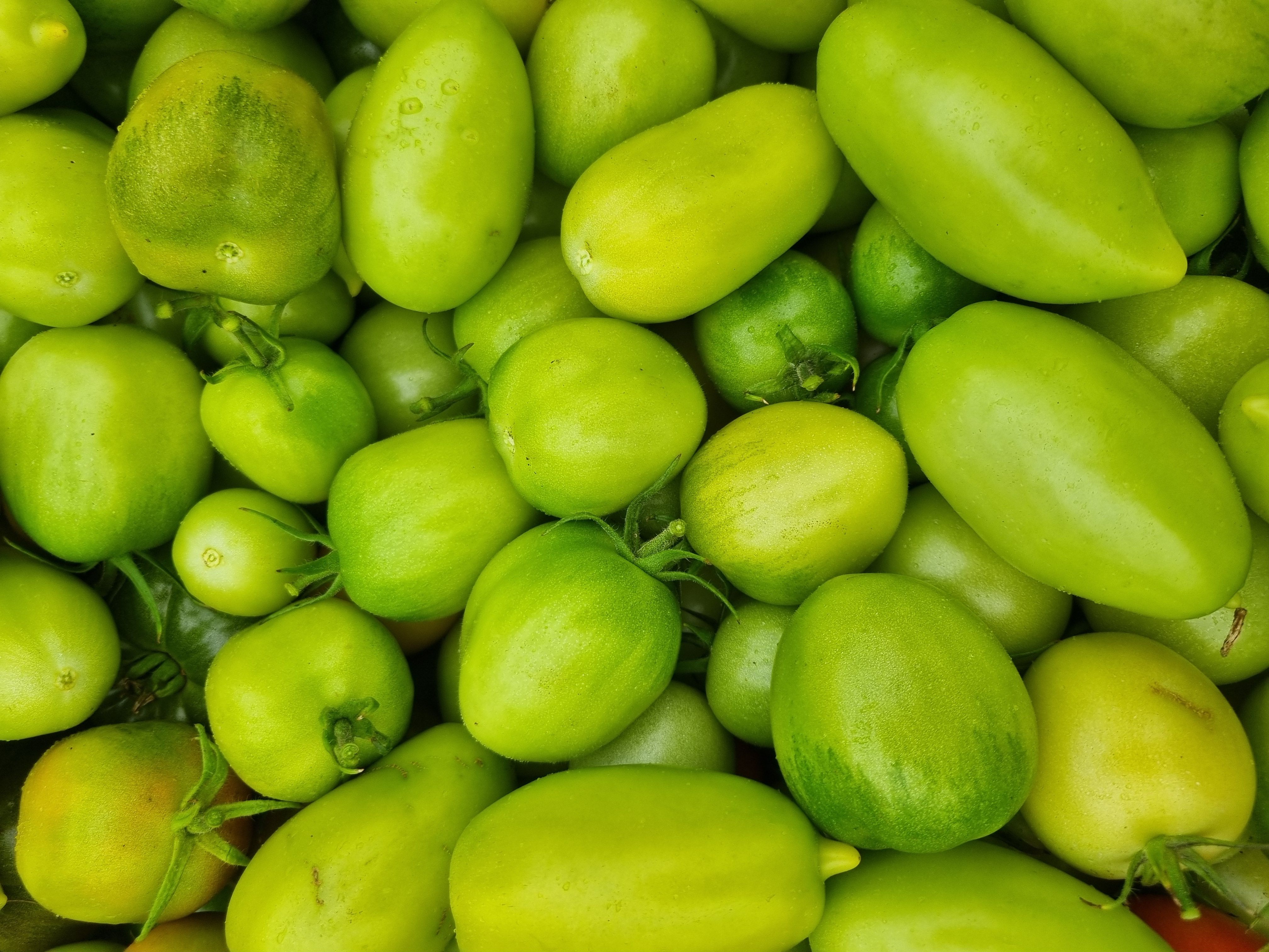 Image of Green Tomatoes