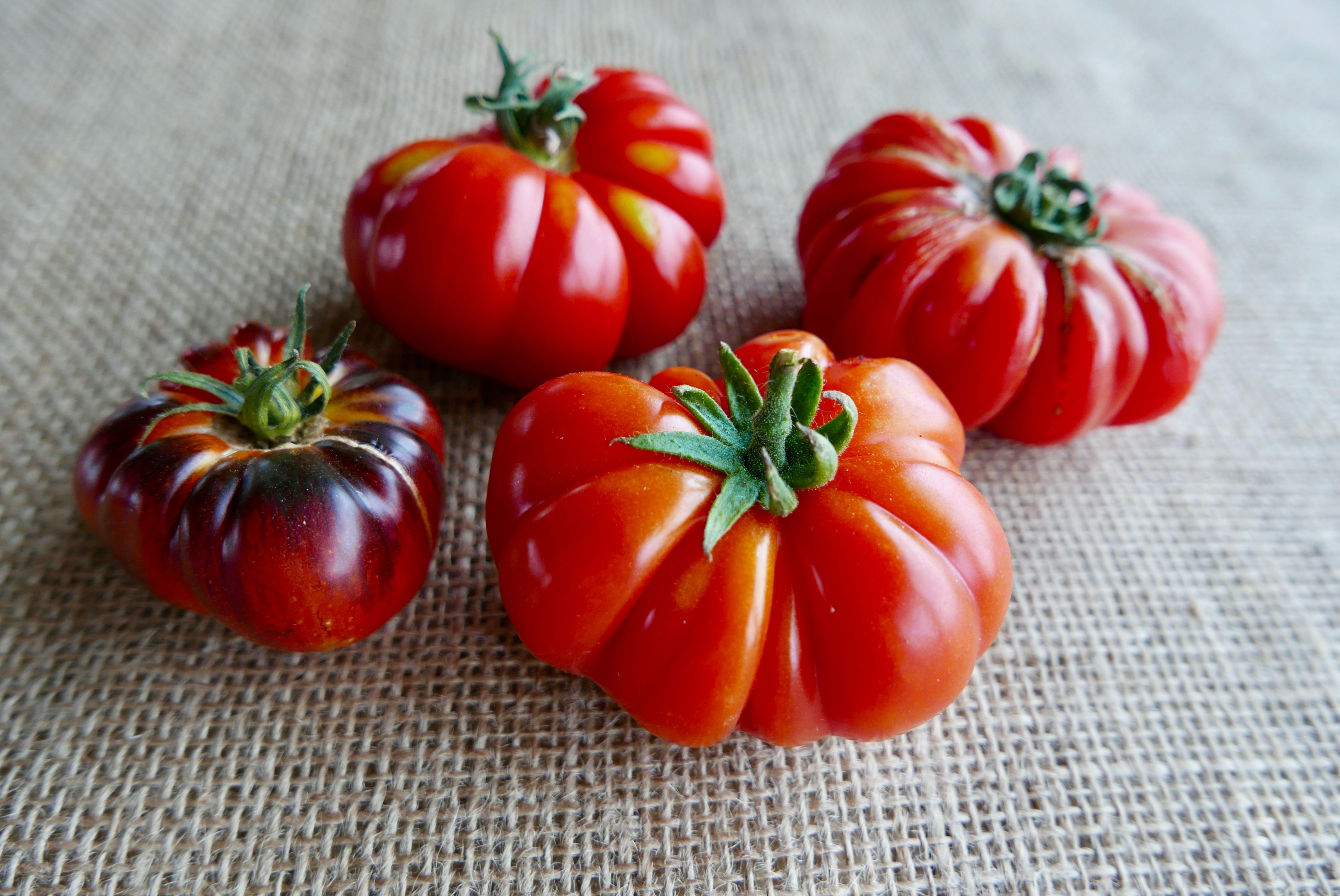 Image of Beef Tomatoes