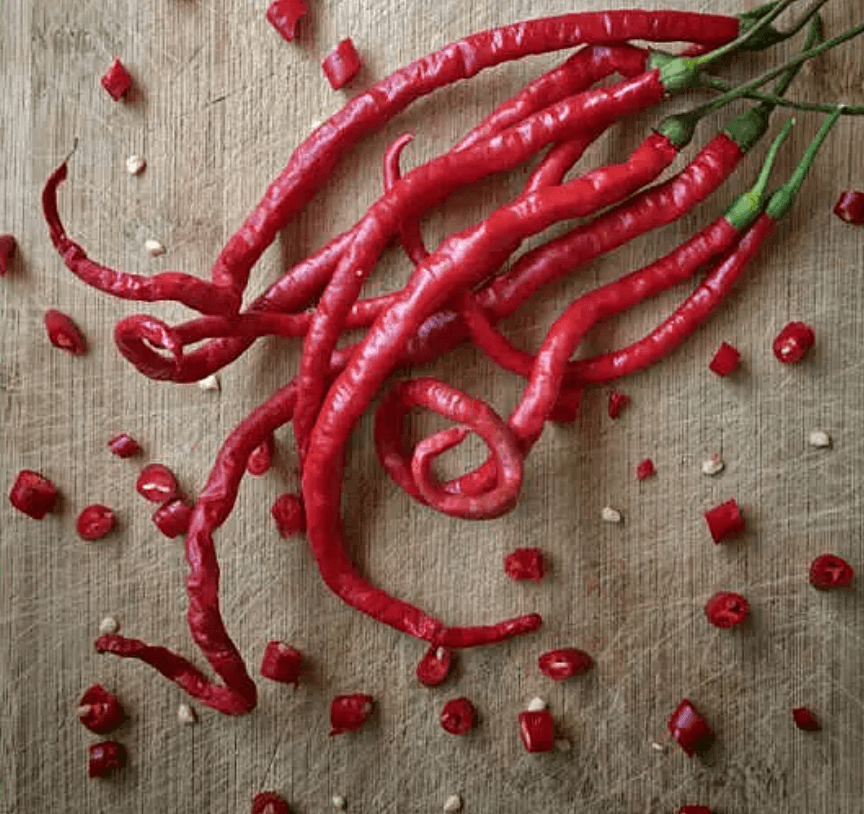 Image of Chillie [Spaghetti]