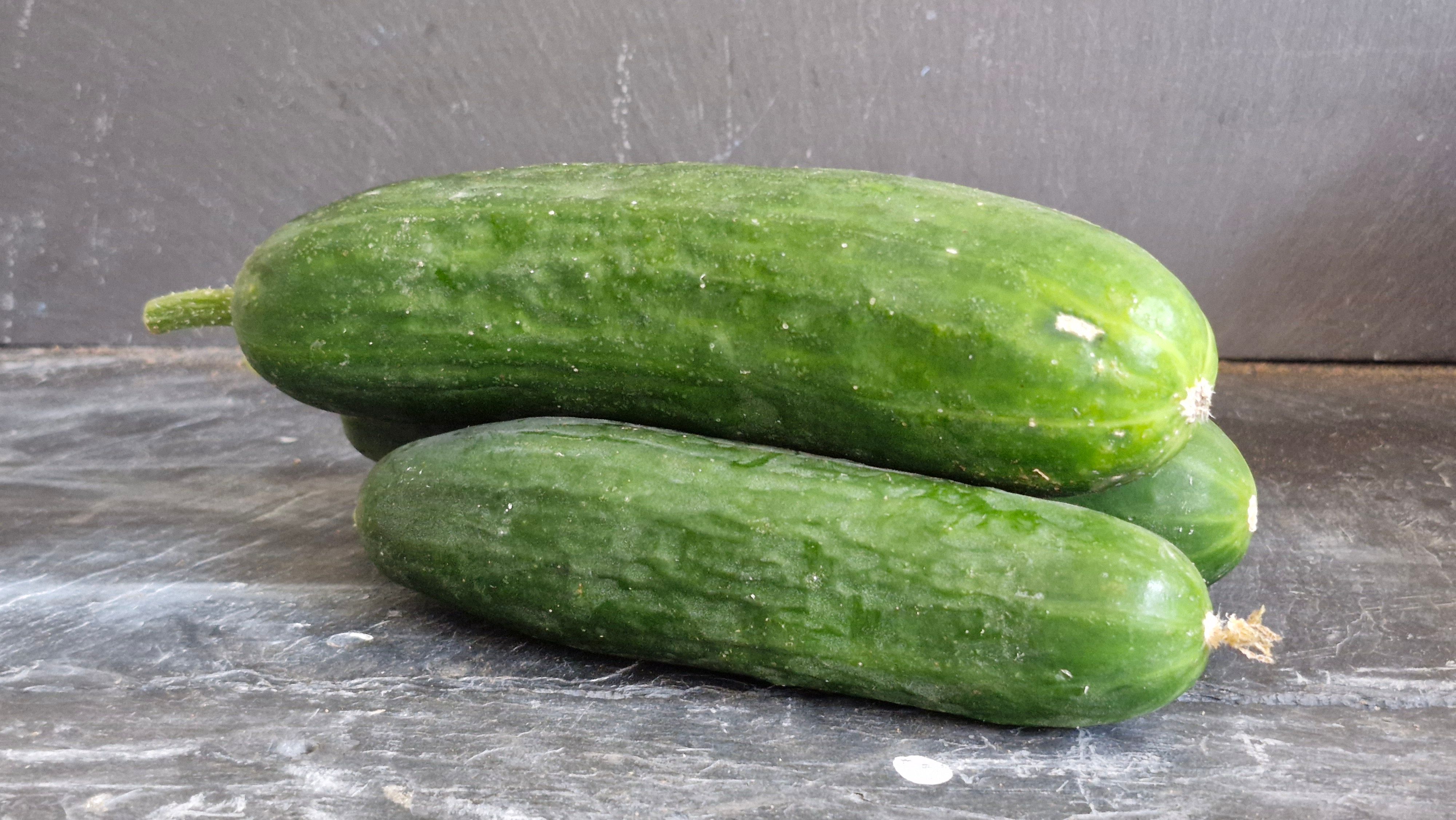 Image of Cucumber 