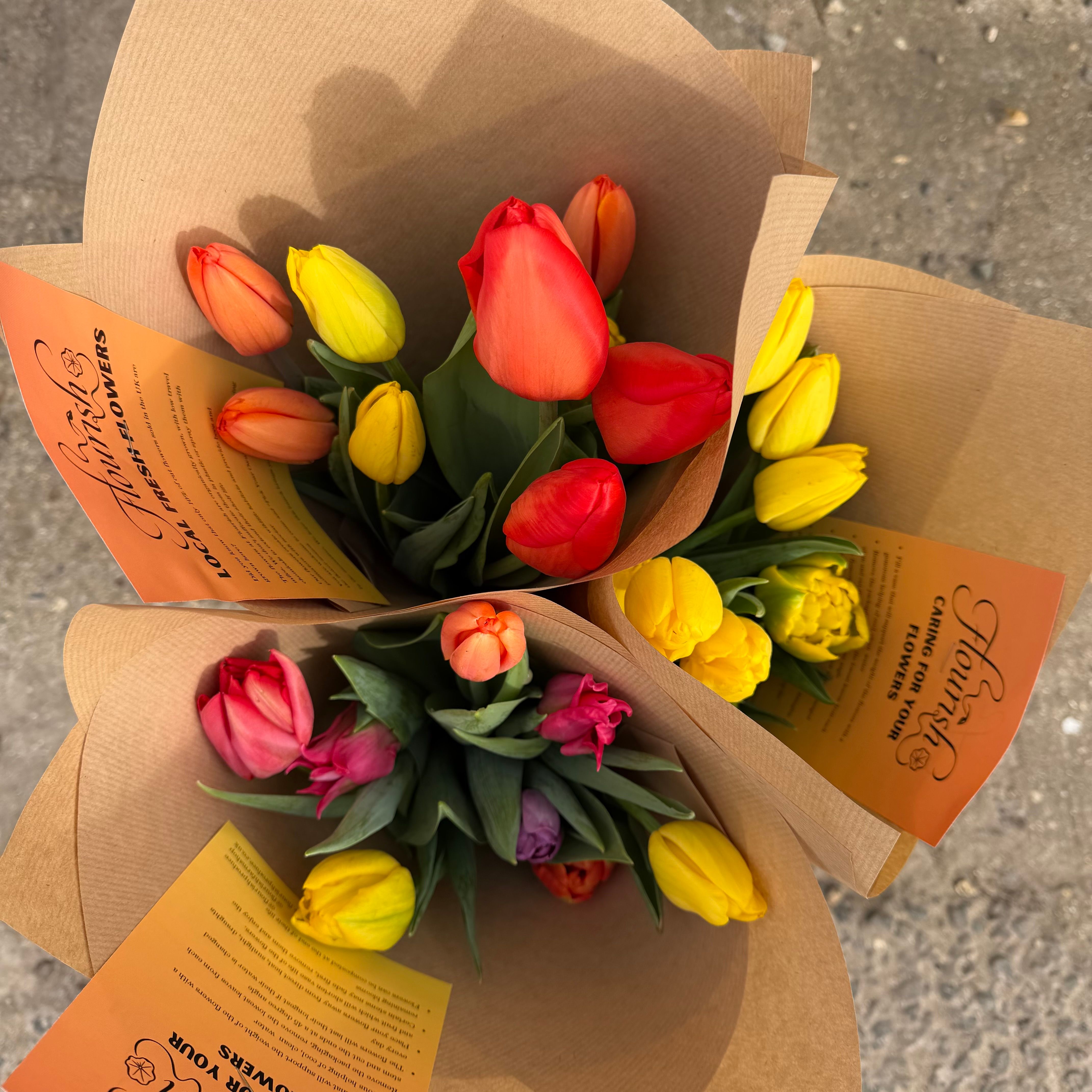 Image of Organic Tulips - Brights (Bunch)