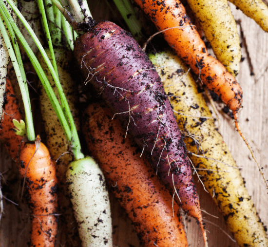 Rainbow Carrots (Organic)
(1kg)