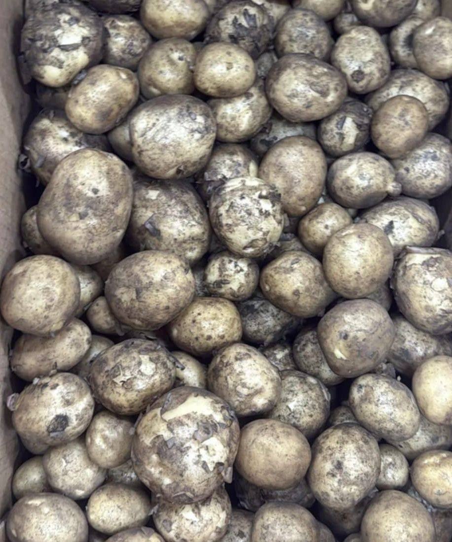 Local Potatoes 