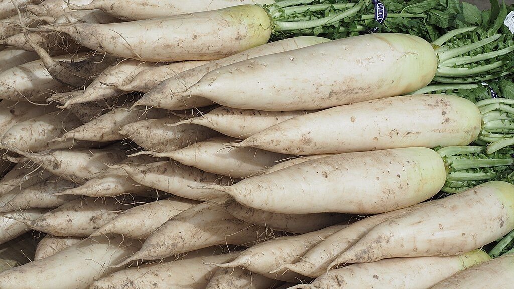Image of Daikon radish (also called Mooli)