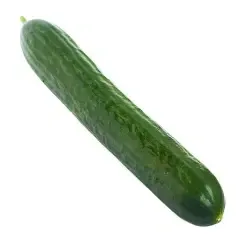 Image of Cucumber