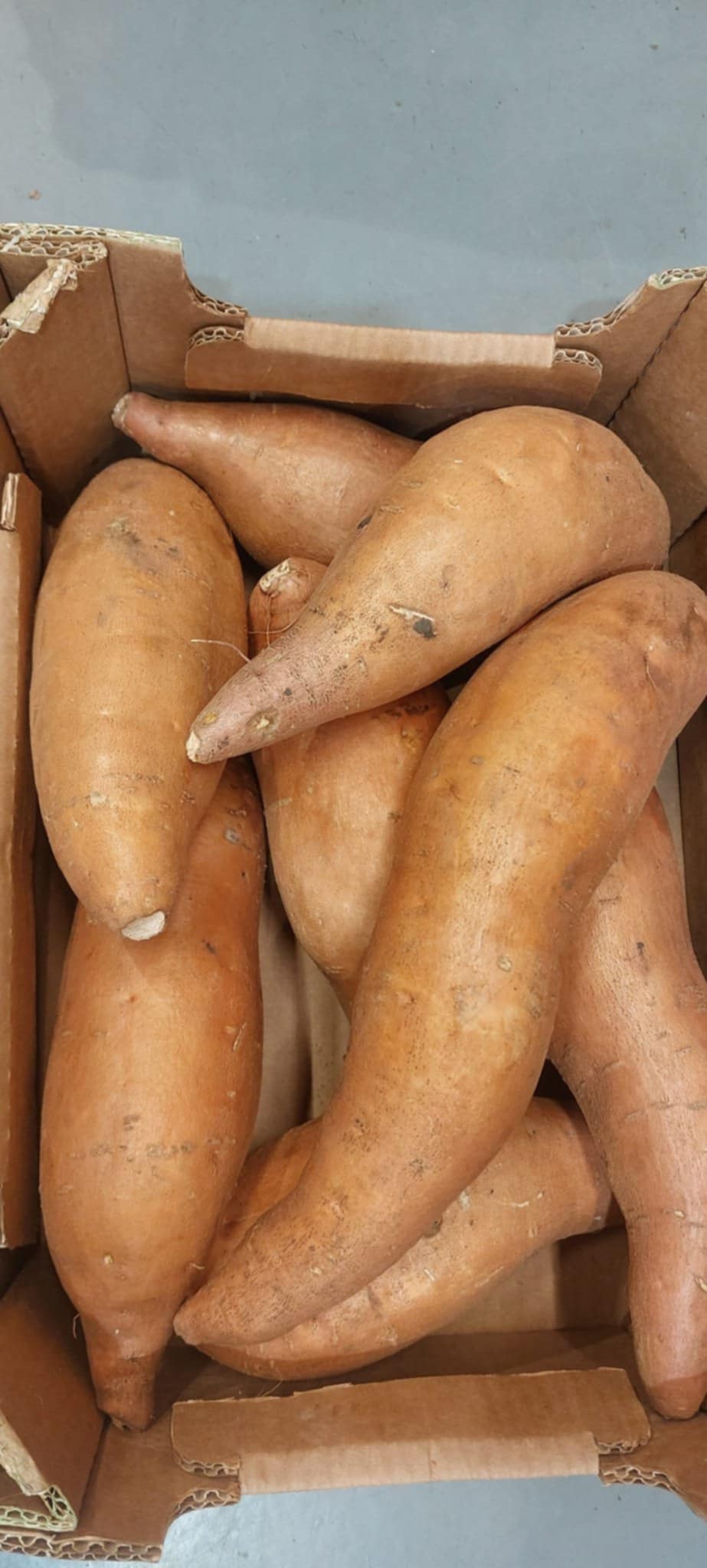 Sweet Potato