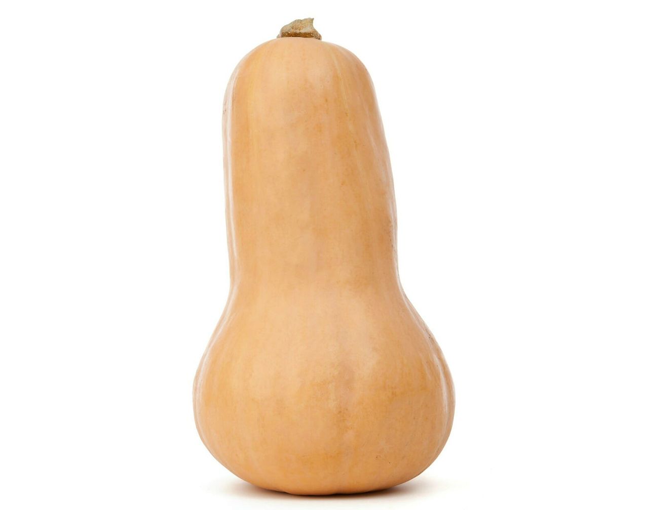 Butternut [Waltham]