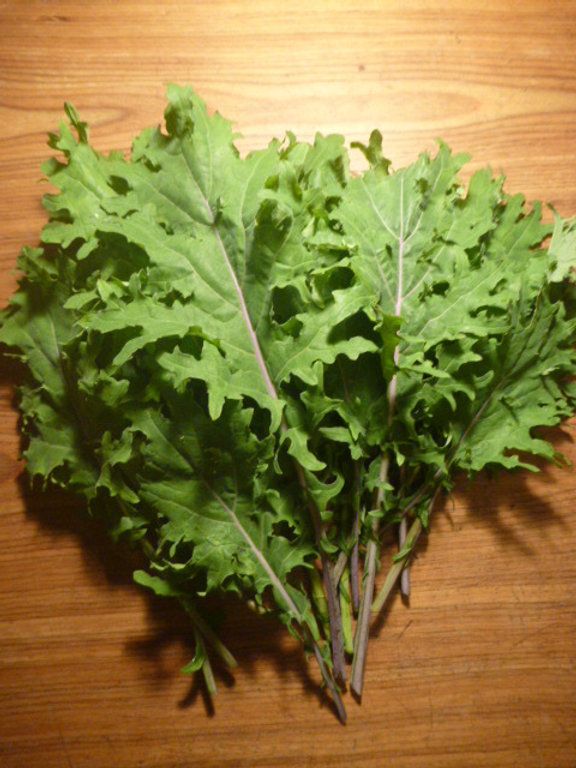 Kale, Red Russian
