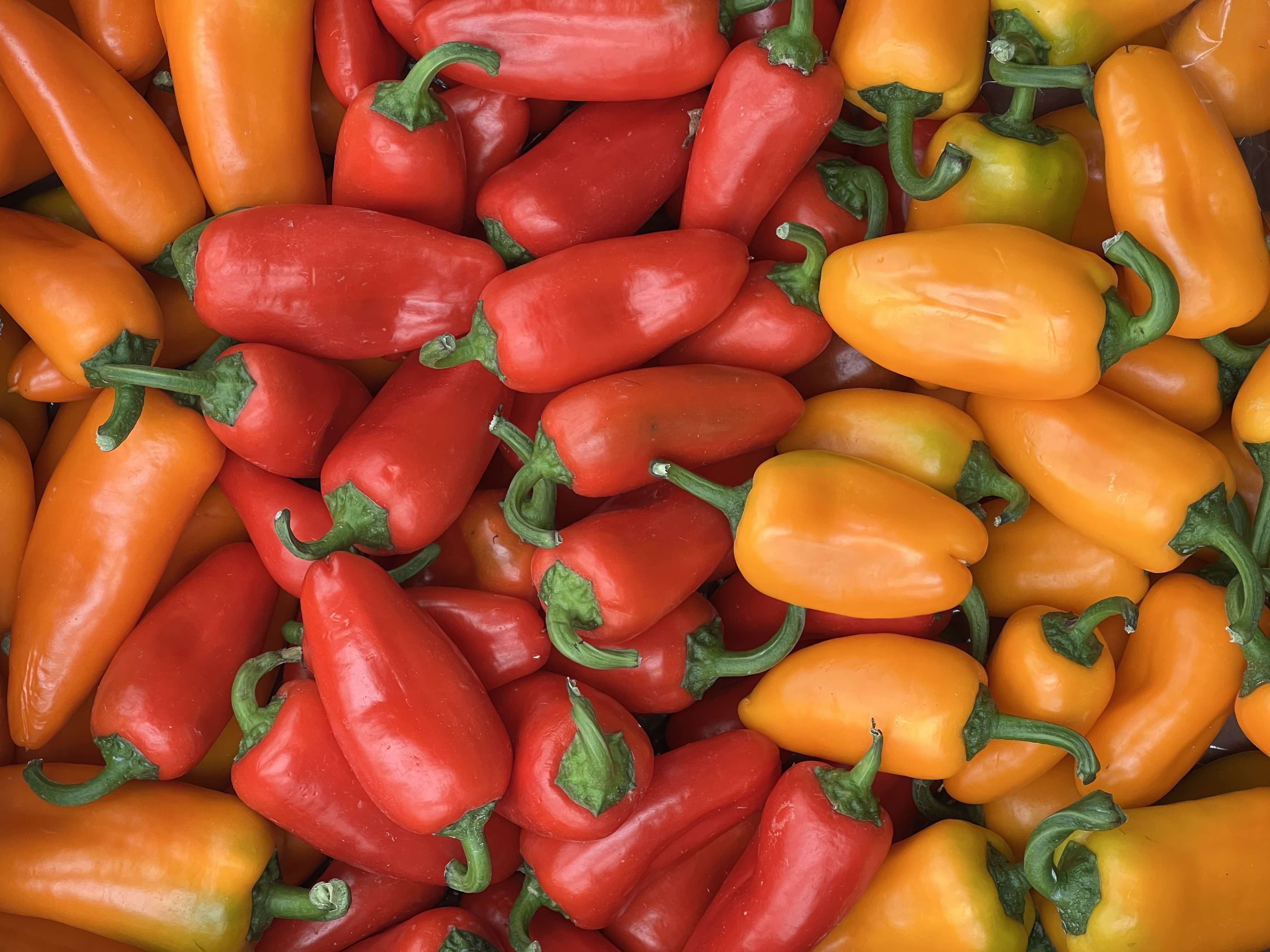 Image of Sweet Bite Pepper (Organic) (250g)
