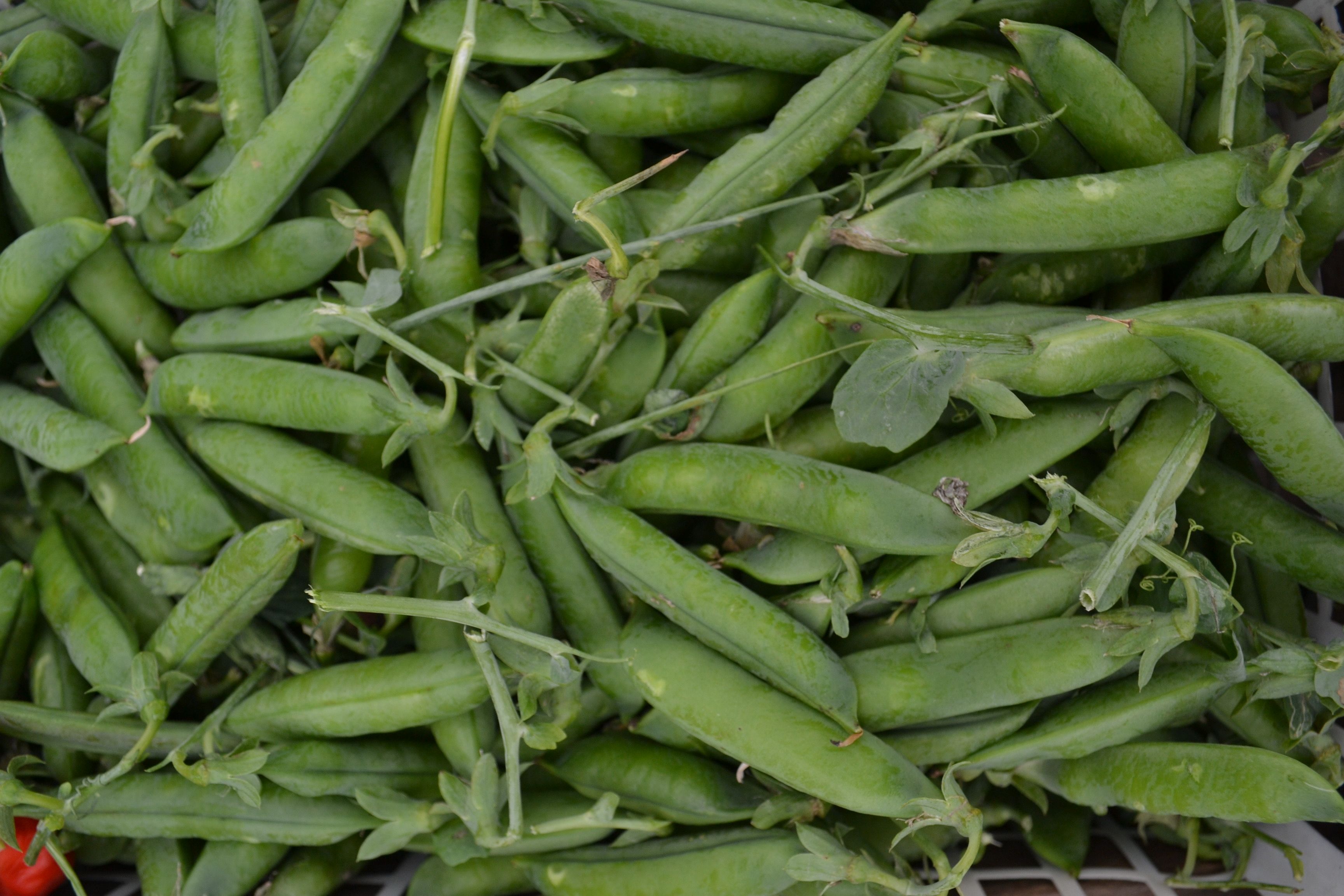 Image of For the chefs