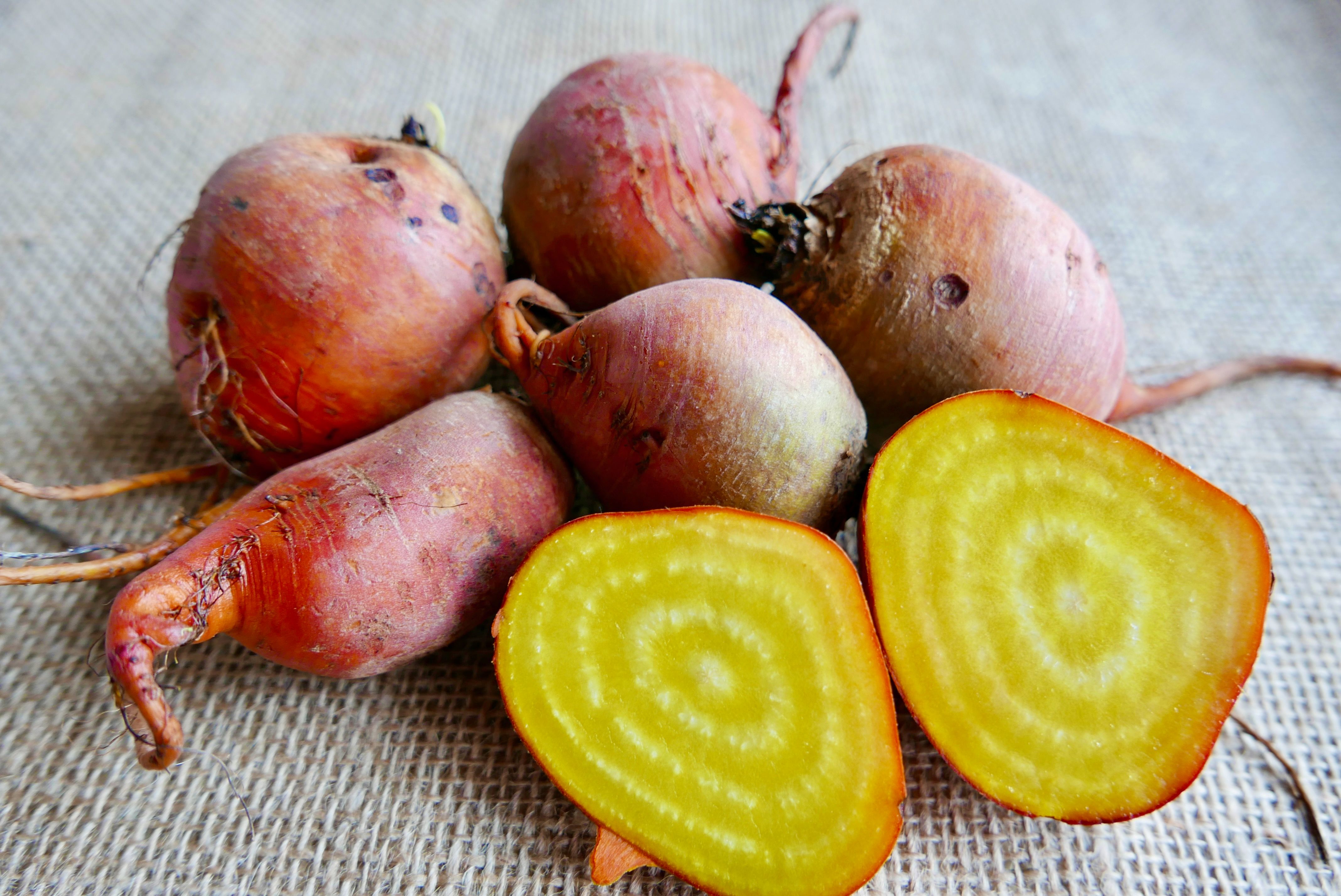 Golden Beetroot