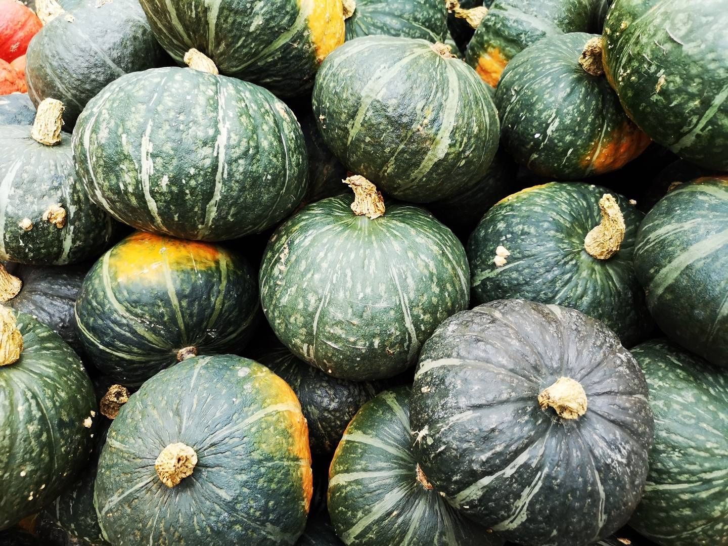Image of Green Hokkaido Squash x 1
