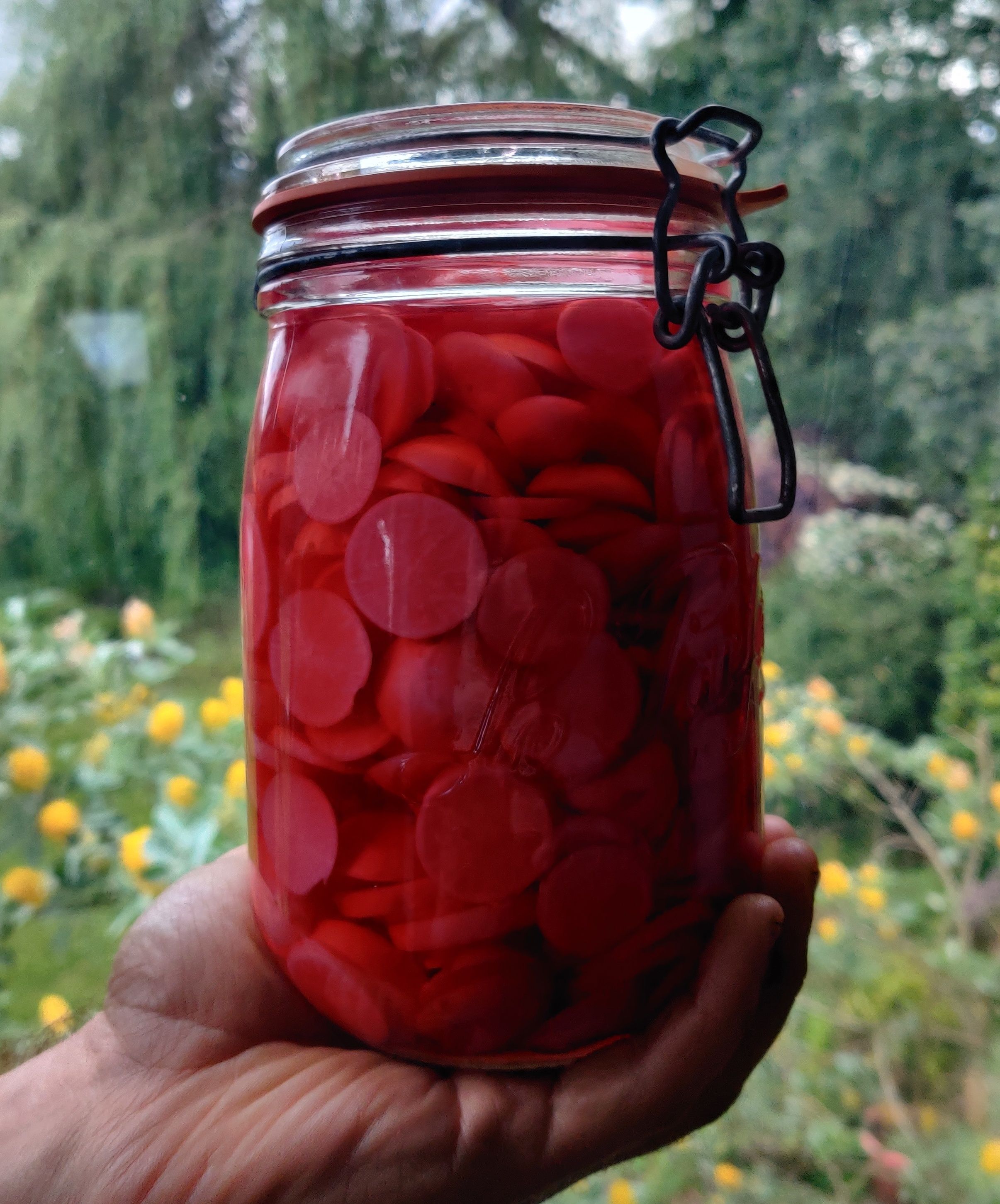 Image of Quick-Pickled Radish
