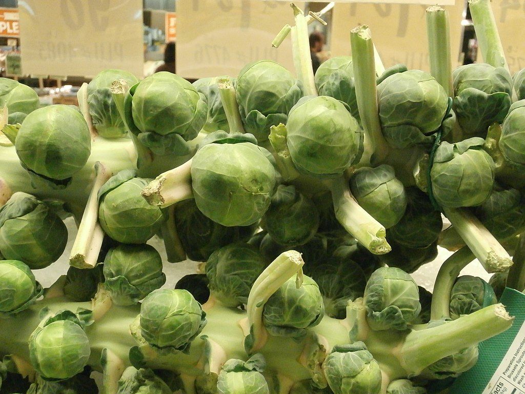 Image of Brussels Sprouts on the stalk