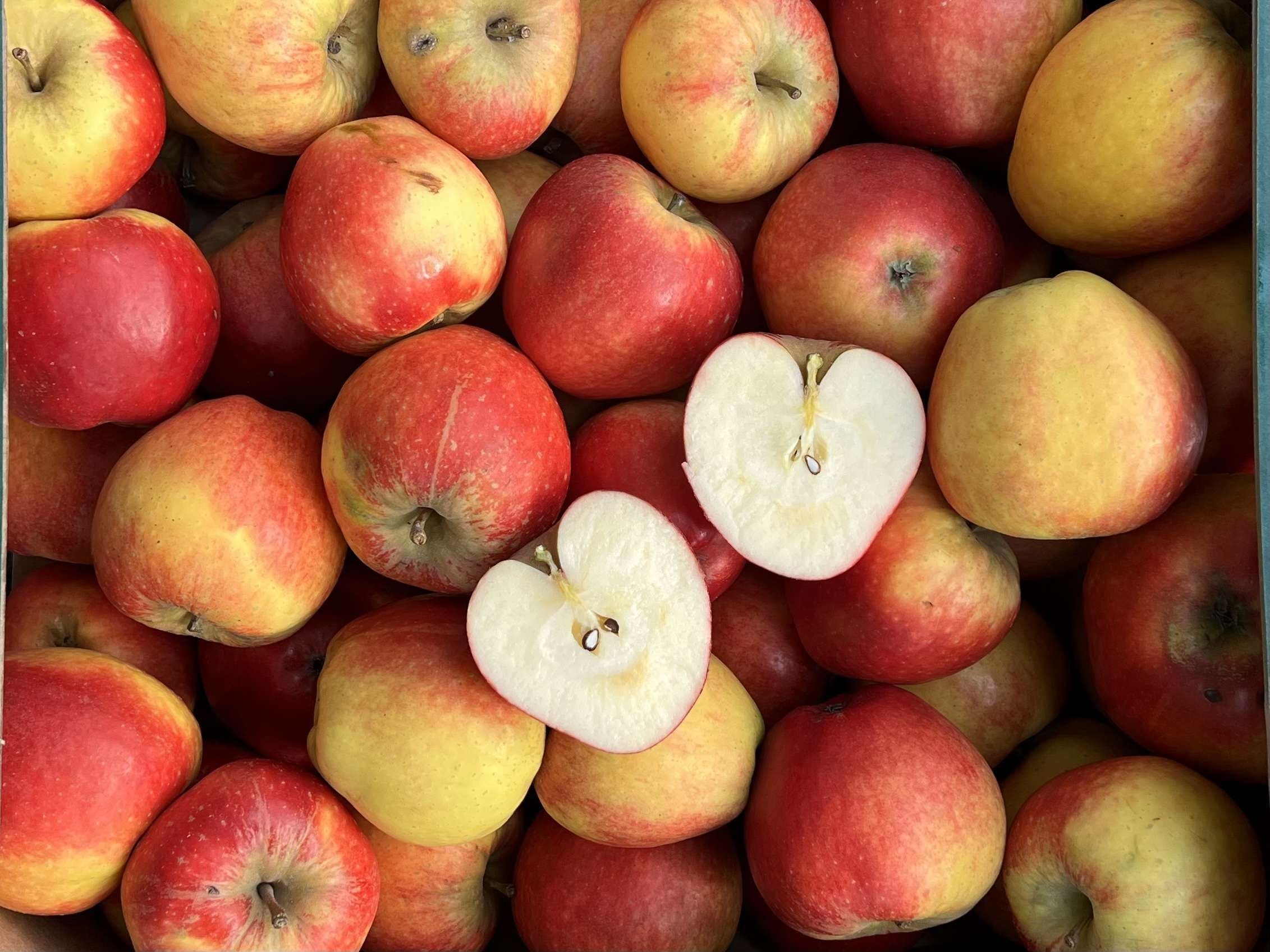 Image of Fruit