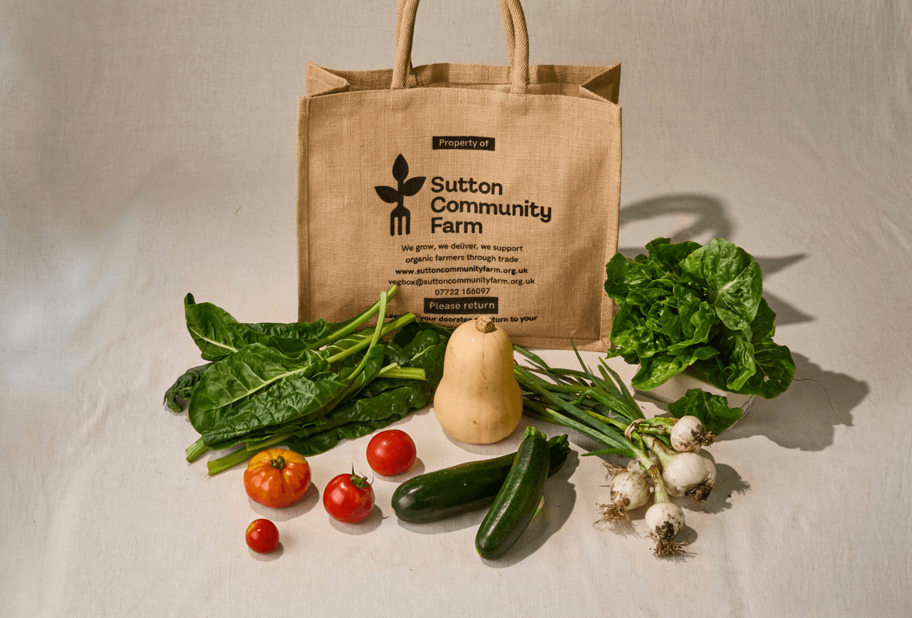 Small Veg Box (no potatoes)