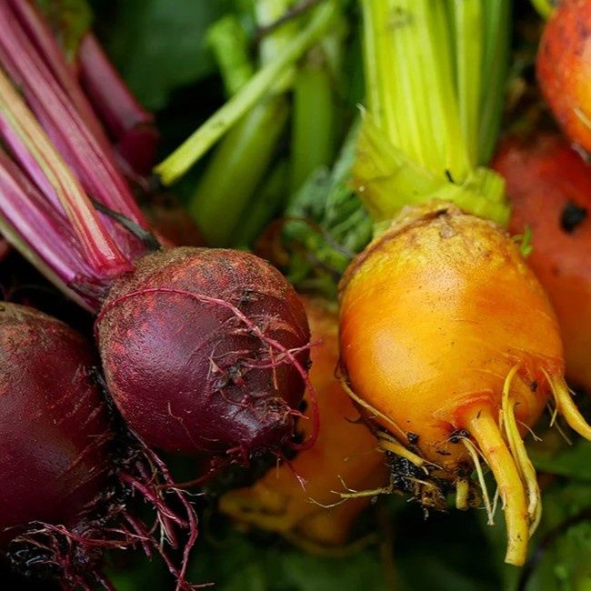 Image of Mixed Beetroot 500g