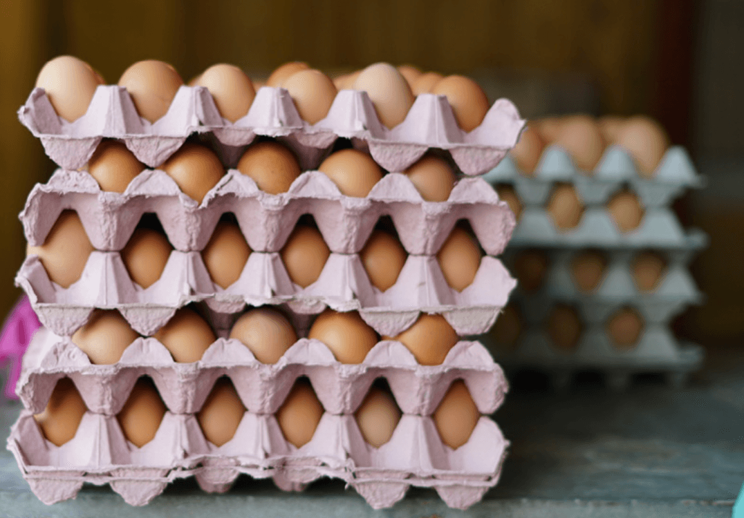Image of Organic Eggs