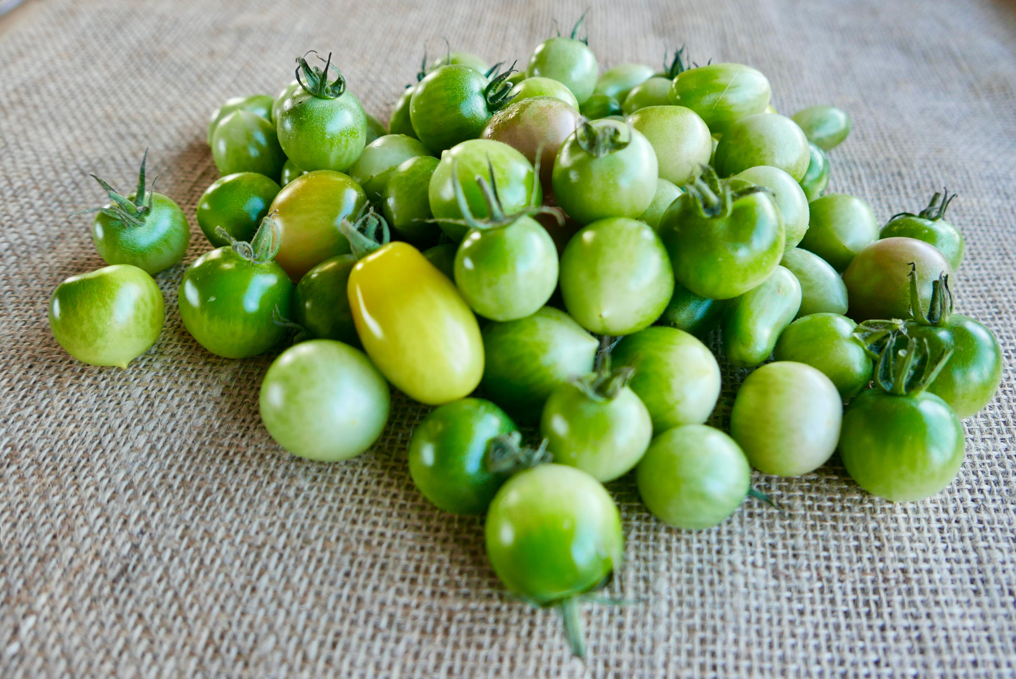 Green Tomatoes