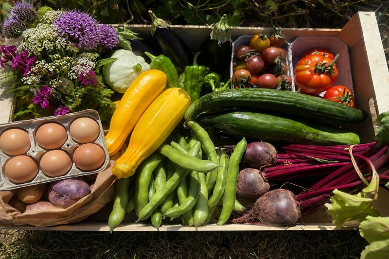 The Kitchen Garden Box