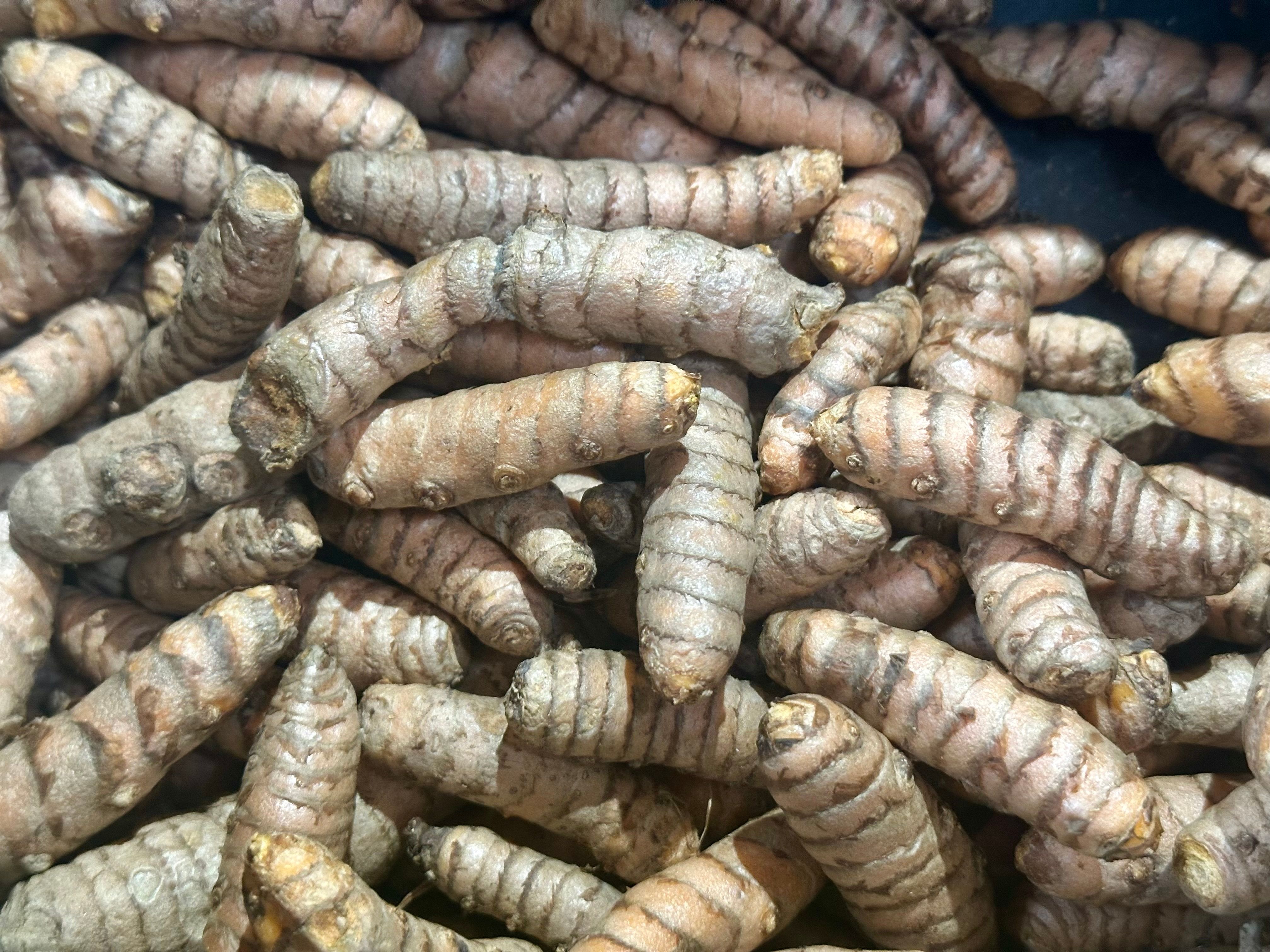 Image of Turmeric