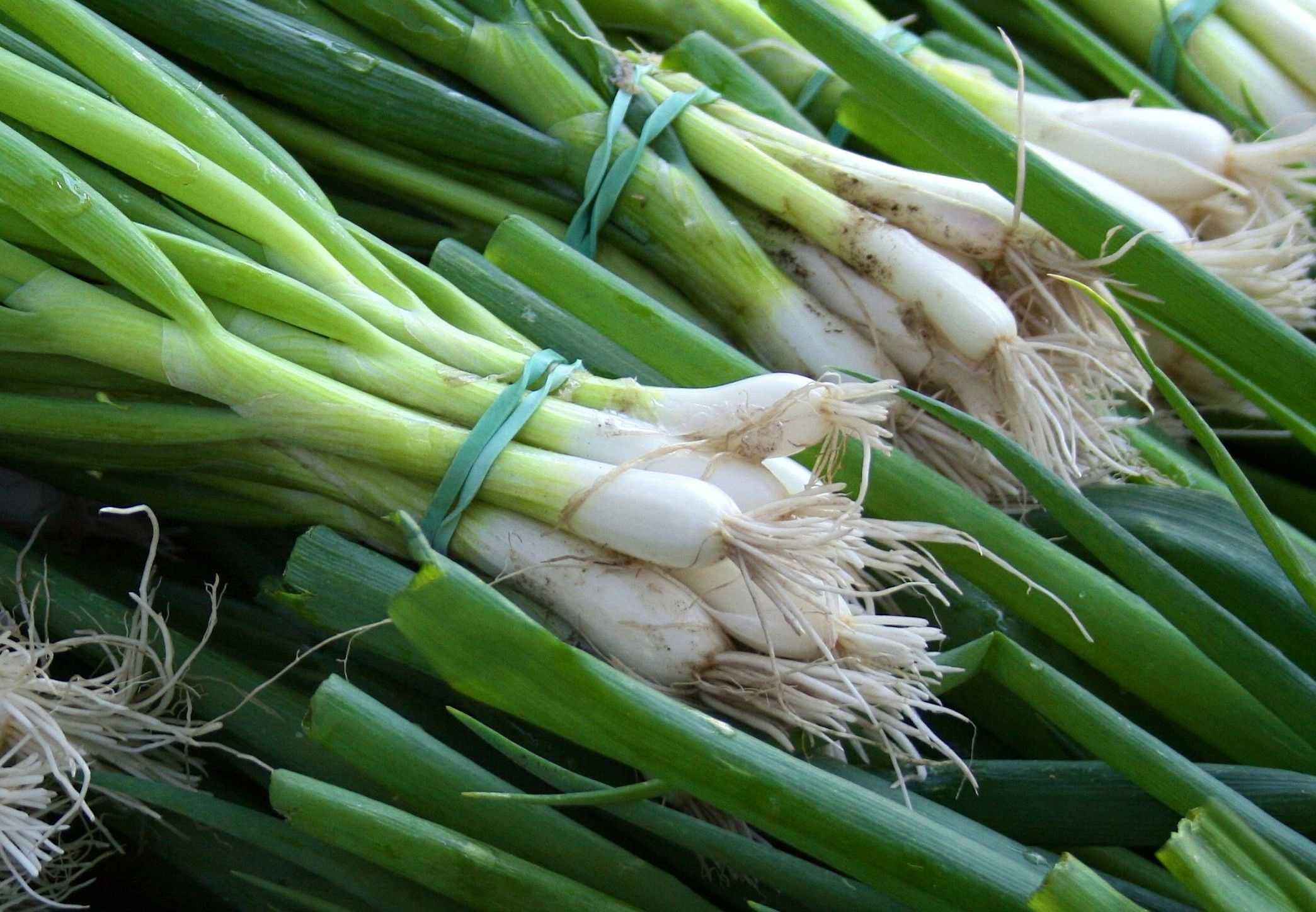 Image of Spring onions, white