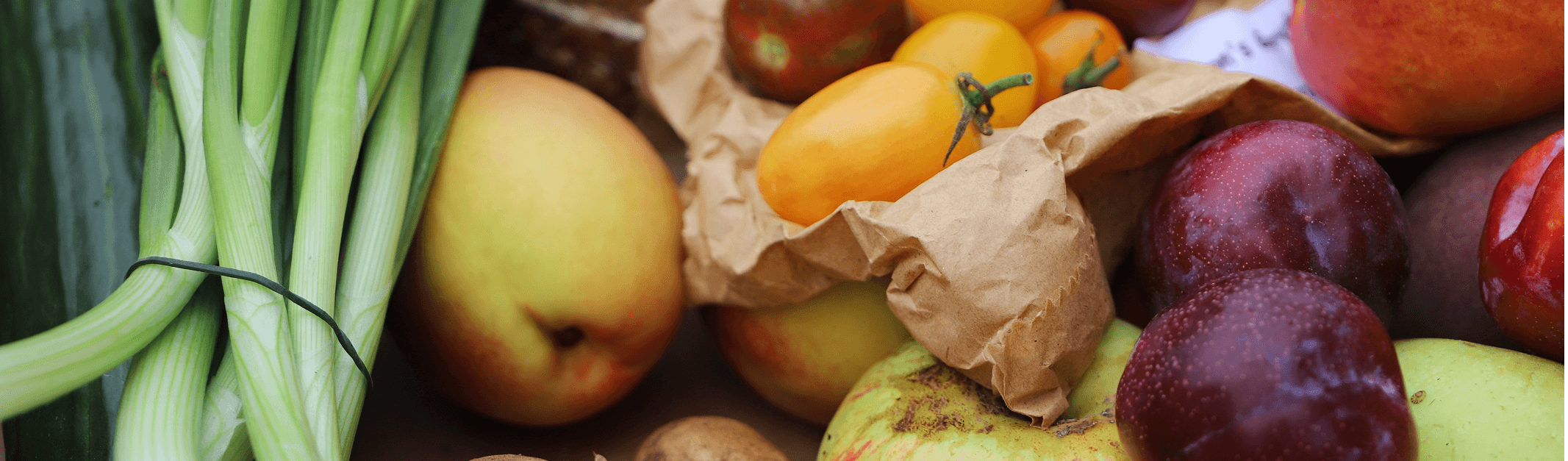 Image of Welcome to Bwyd Dyfi Hub