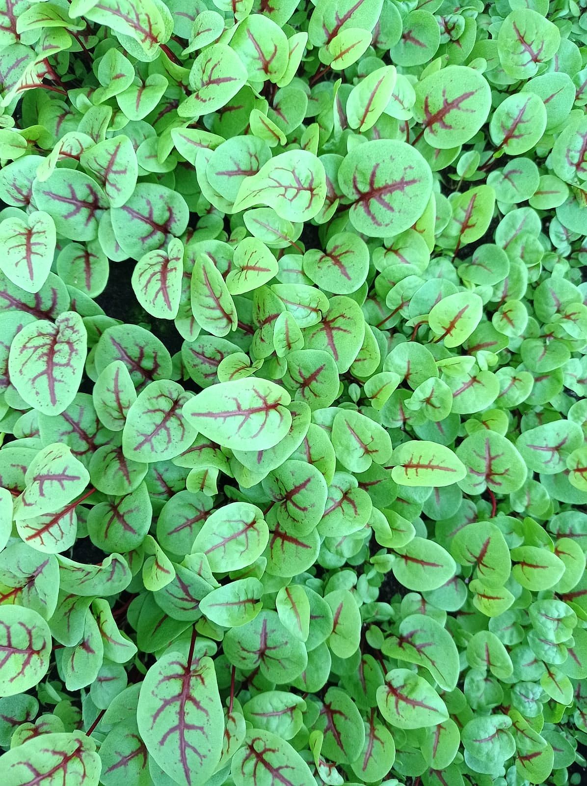 Image of We'd love to hear from you.