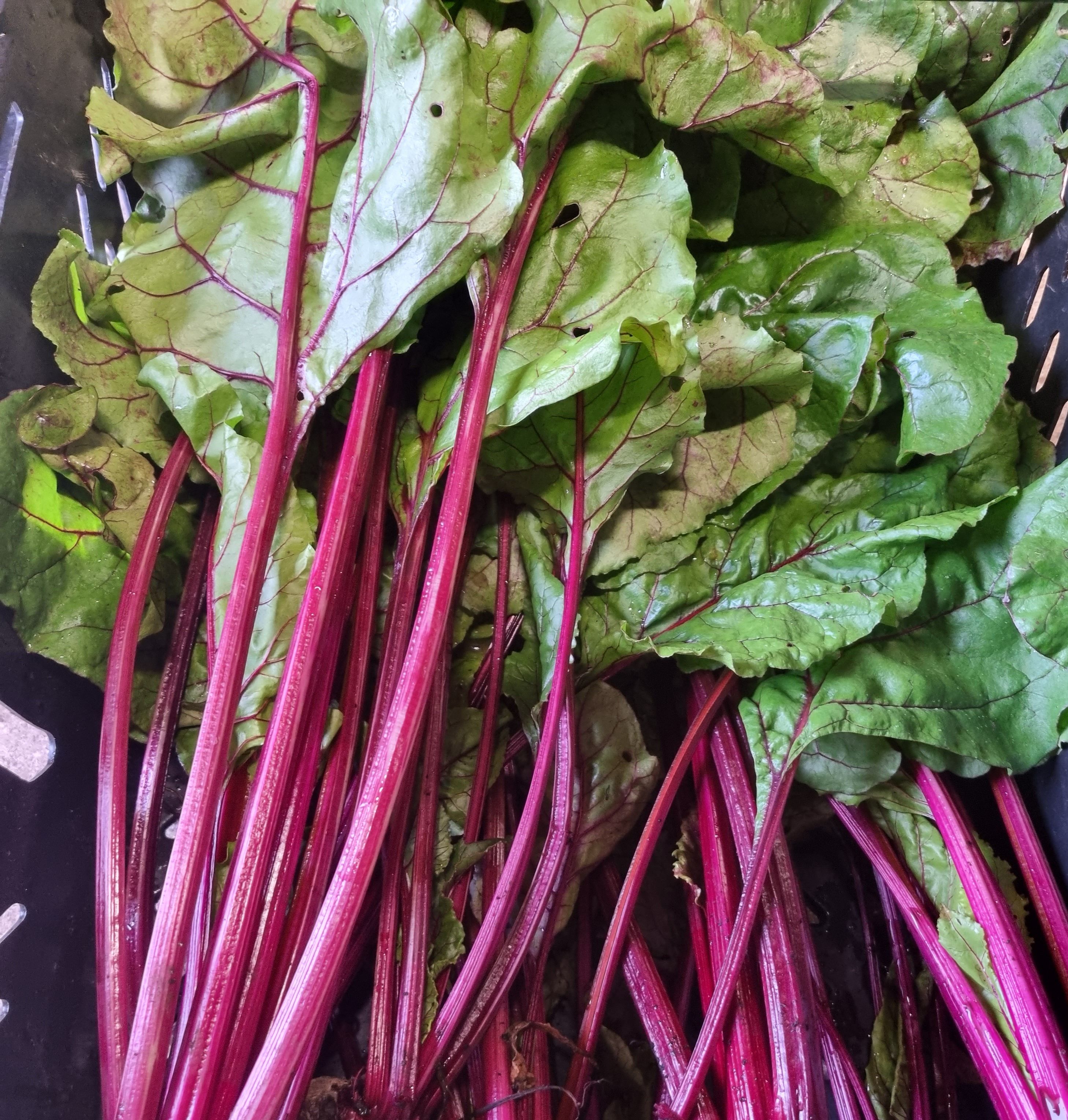 Beetroot tops