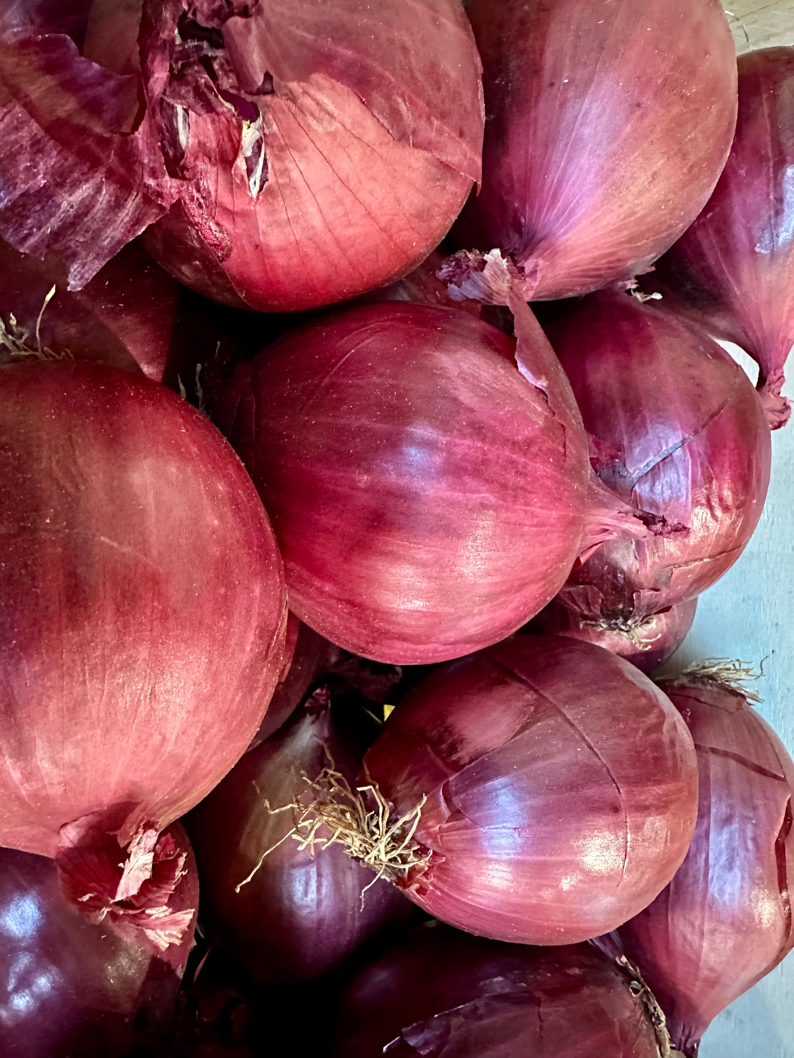 Onion Red