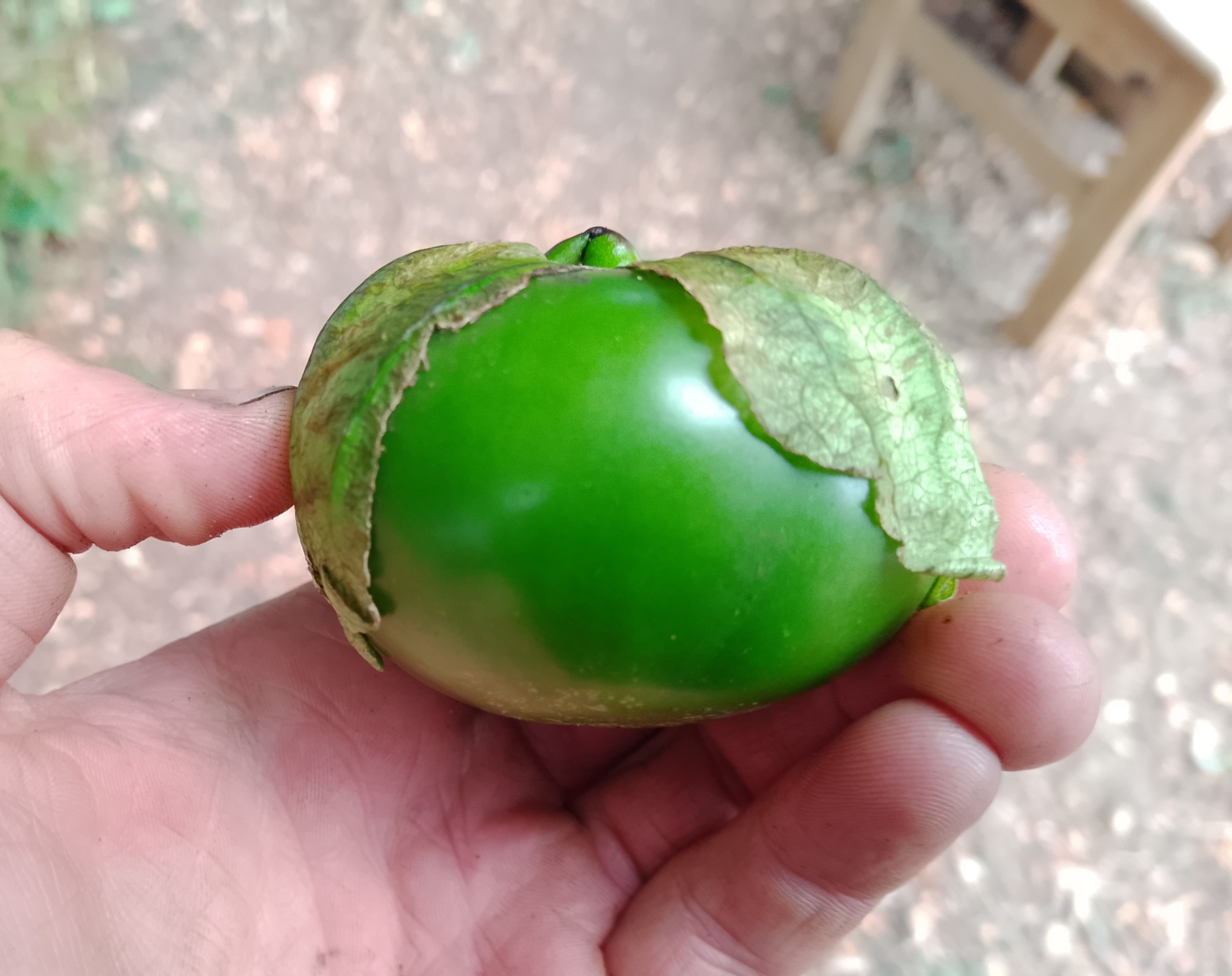 Tomatillos