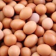 Image of Eggs