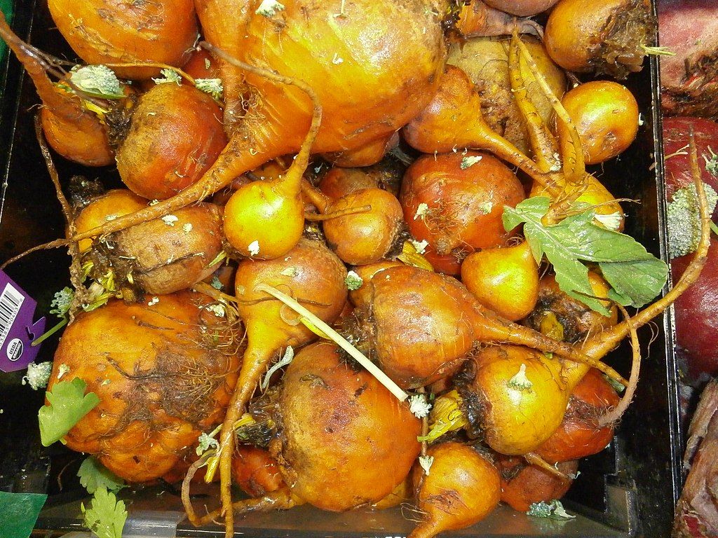 Image of Beetroot, Golden