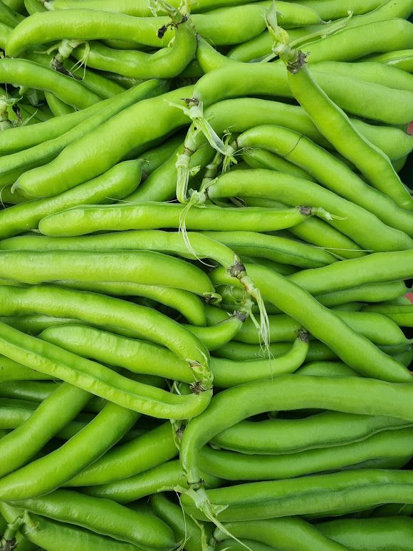 Image of Vegetables