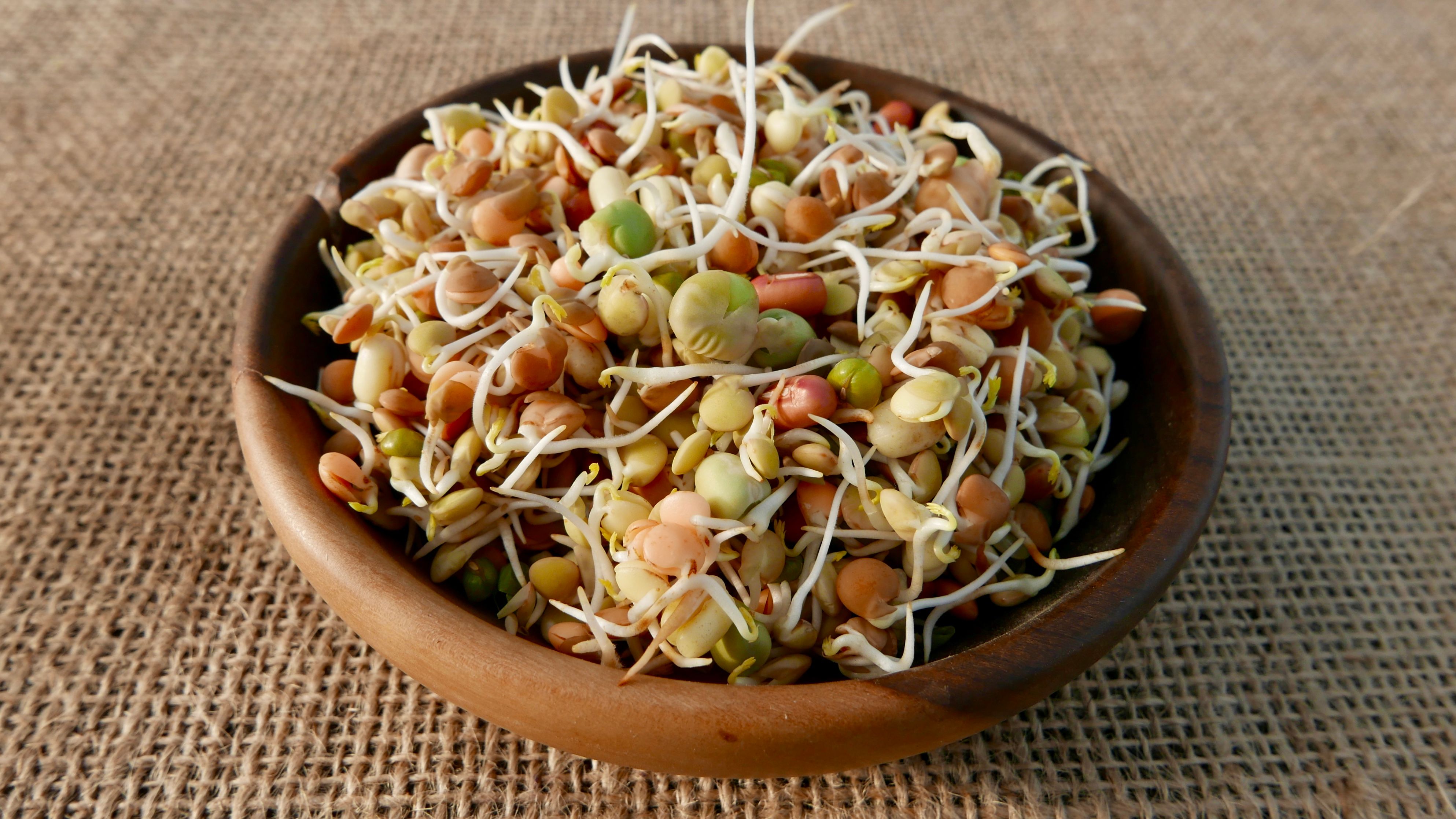 Image of Mixed Bean Sprouts