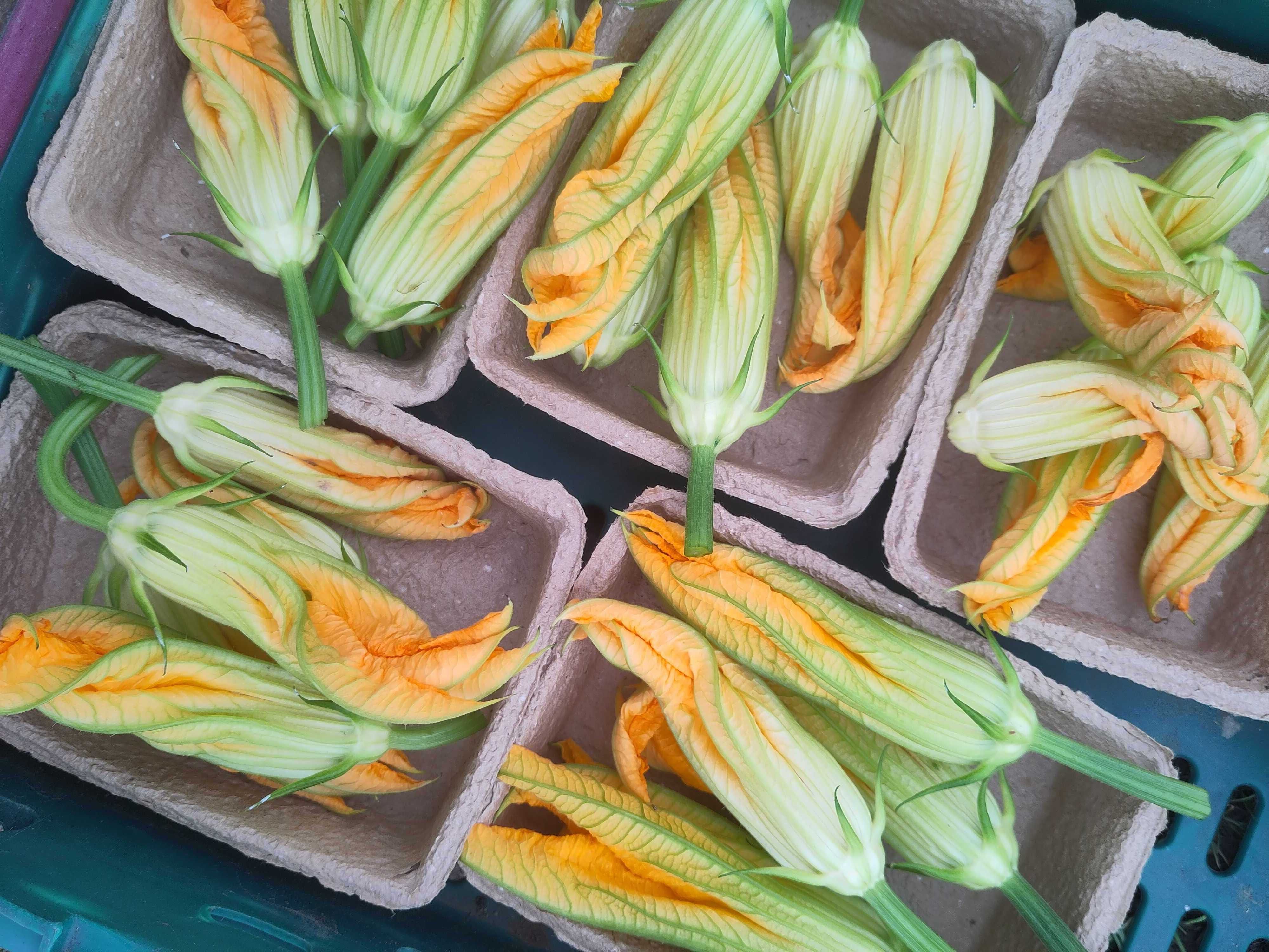 Image of Courgette Flowers (in conversion)