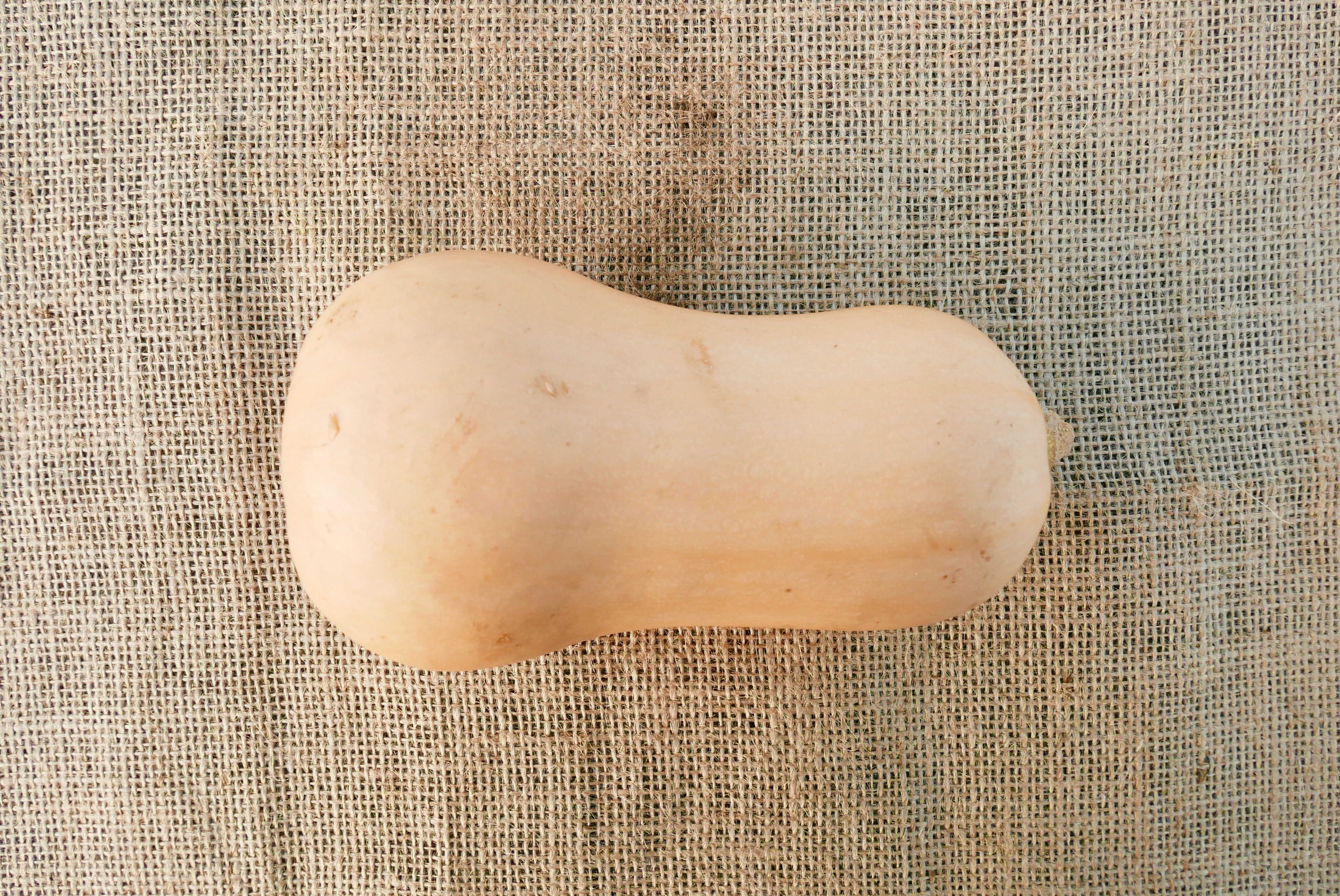 Butternut Squash