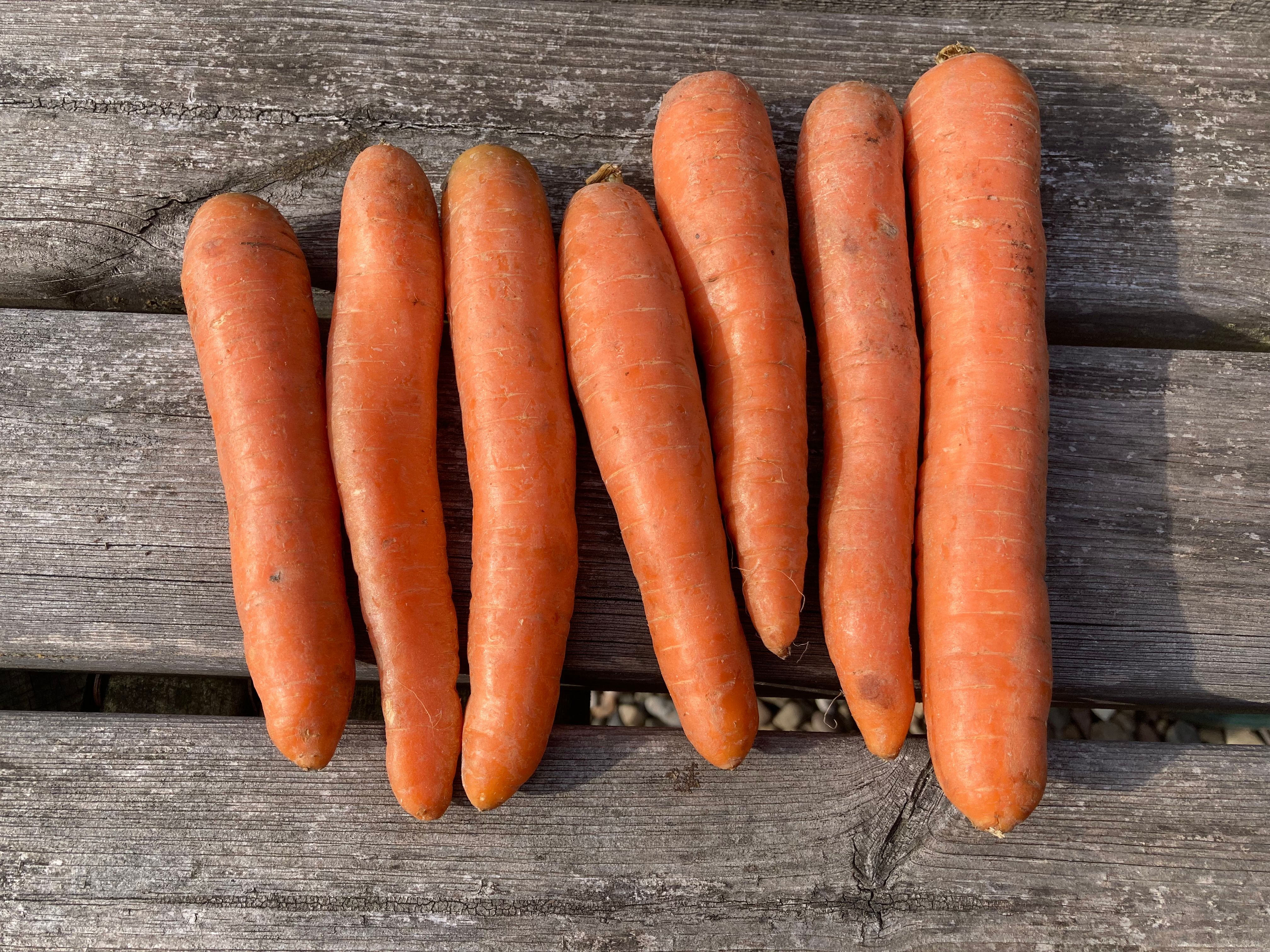 Organic Carrots