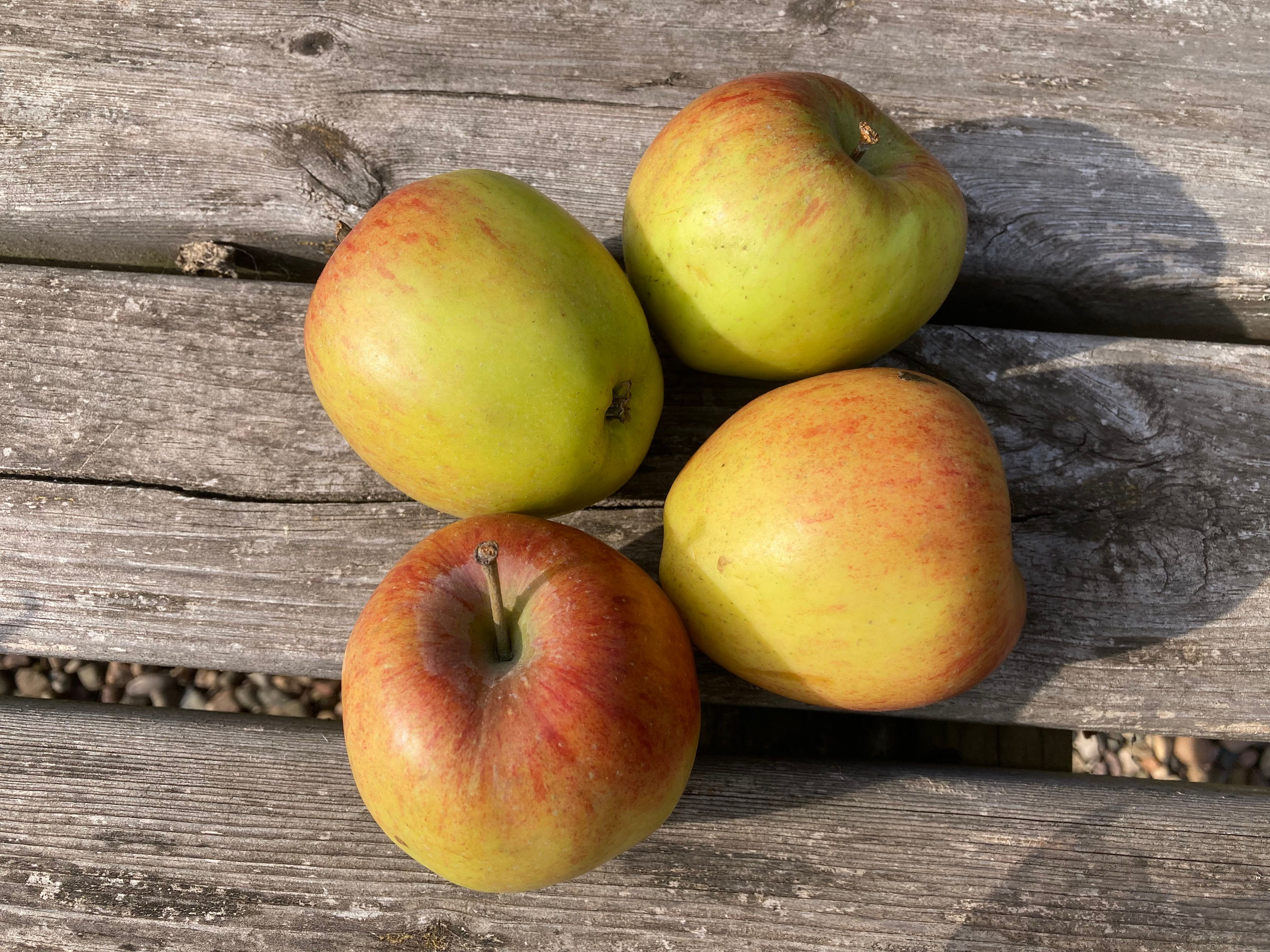 Organic Apples