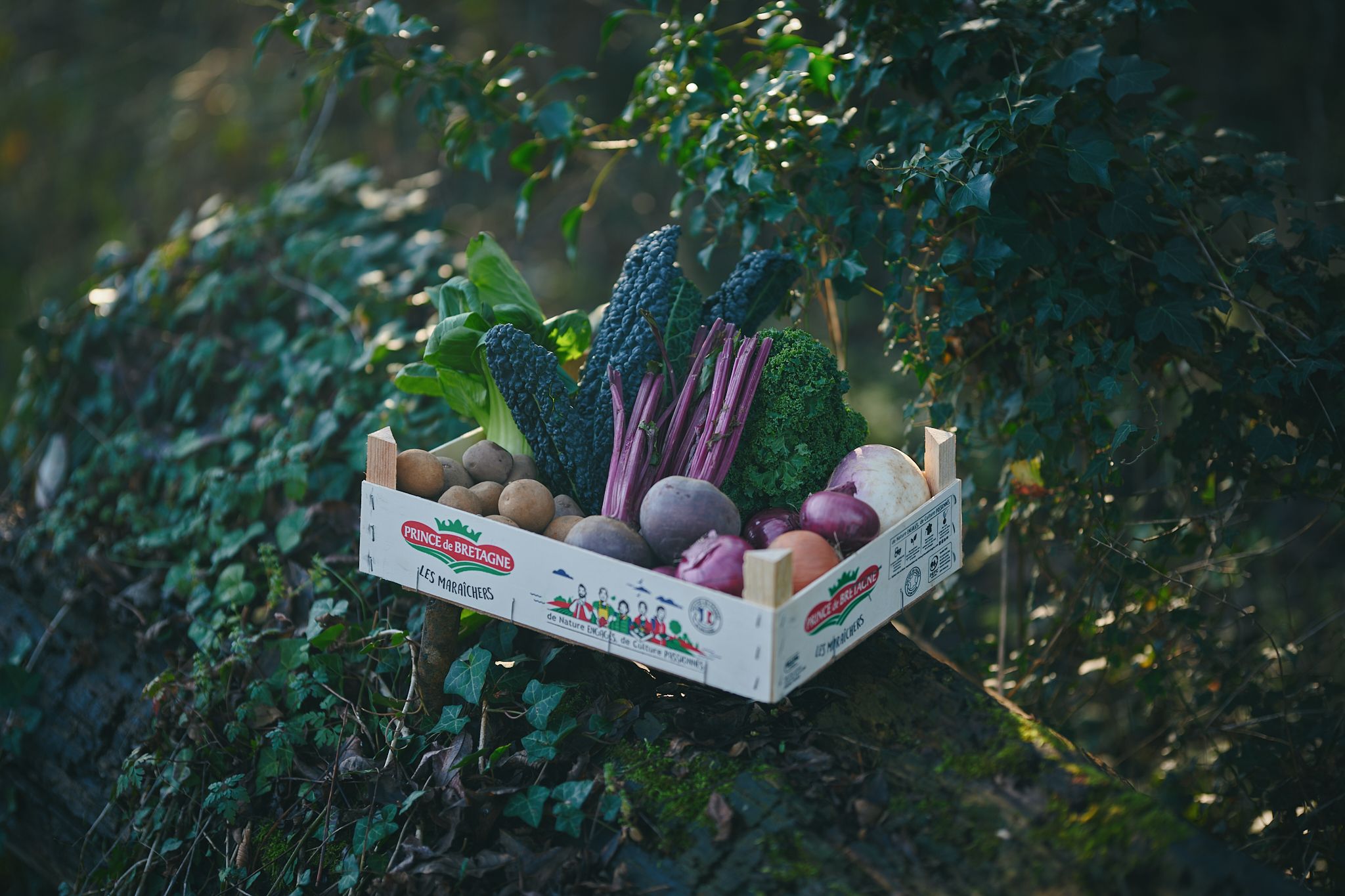 Image of Small Veg Box