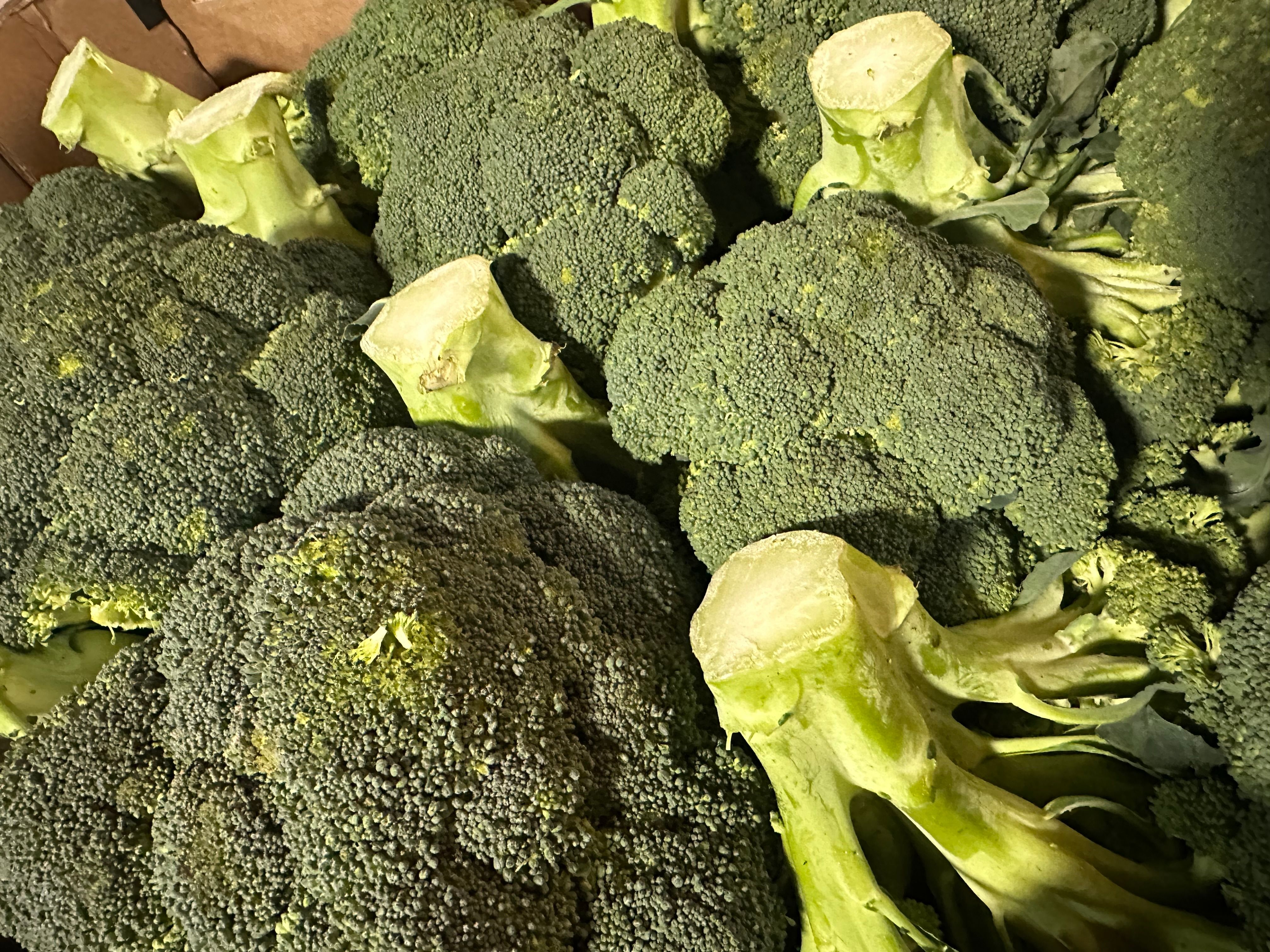 Image of Broccoli