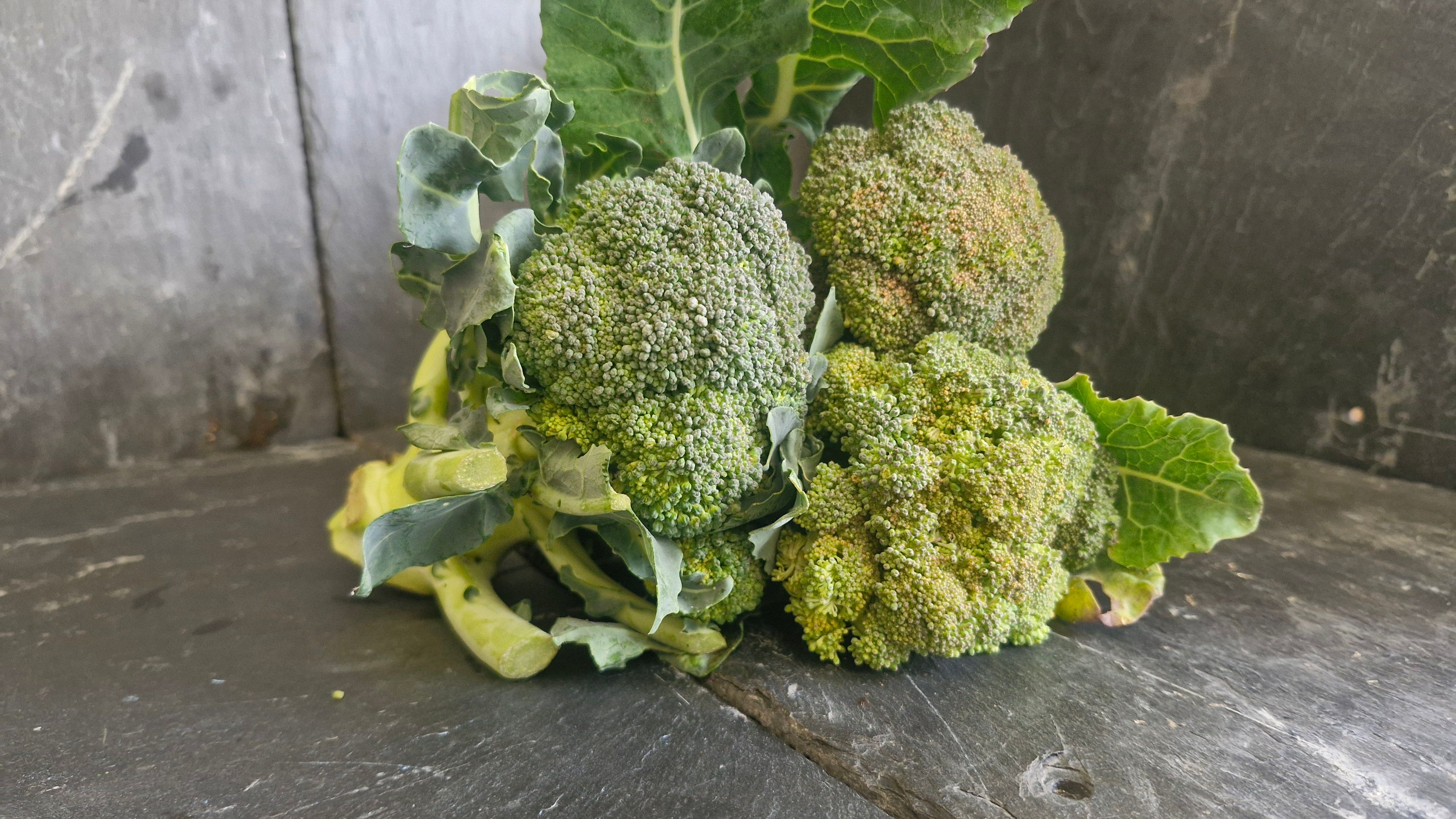 Broccoli