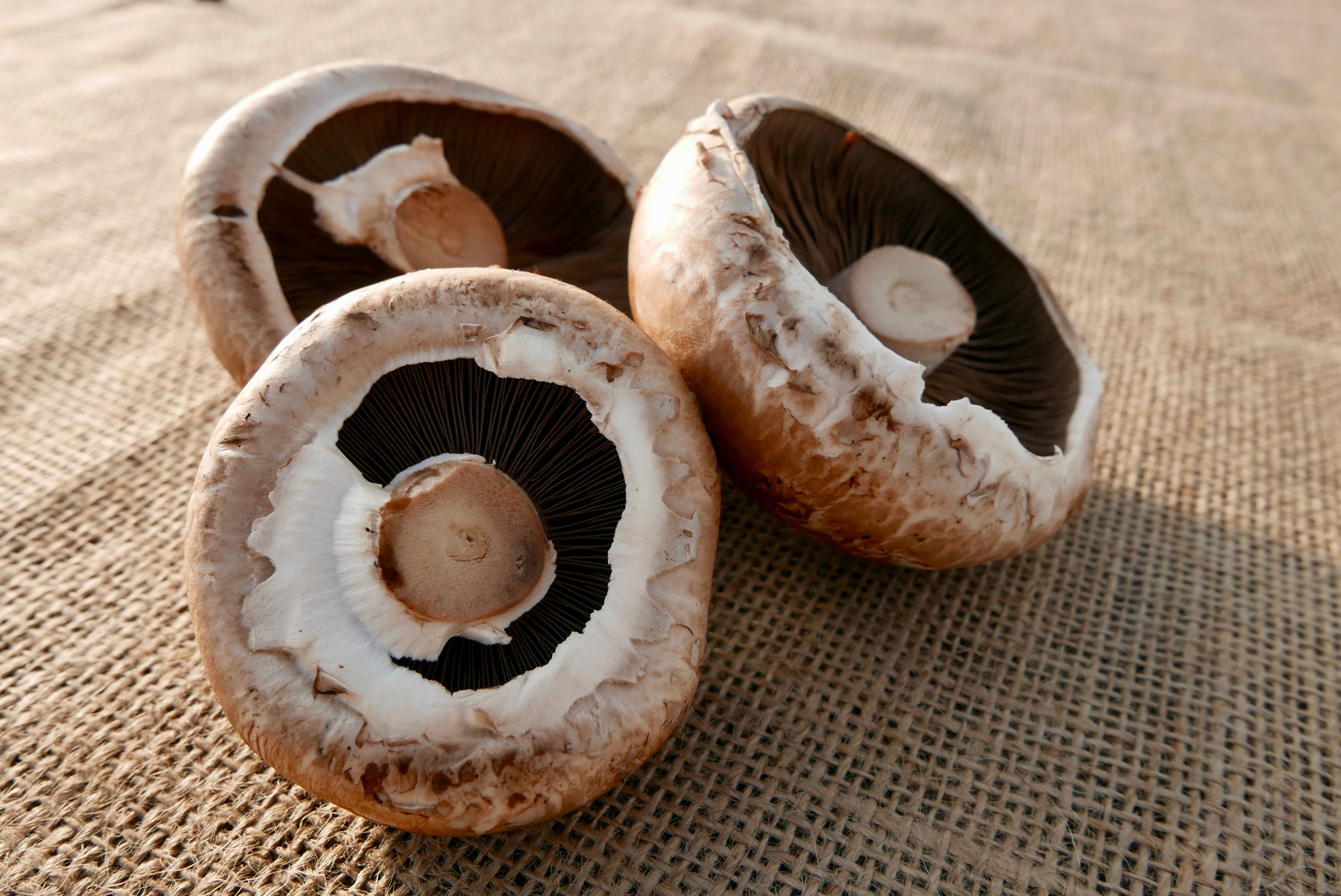 Portobello Mushrooms