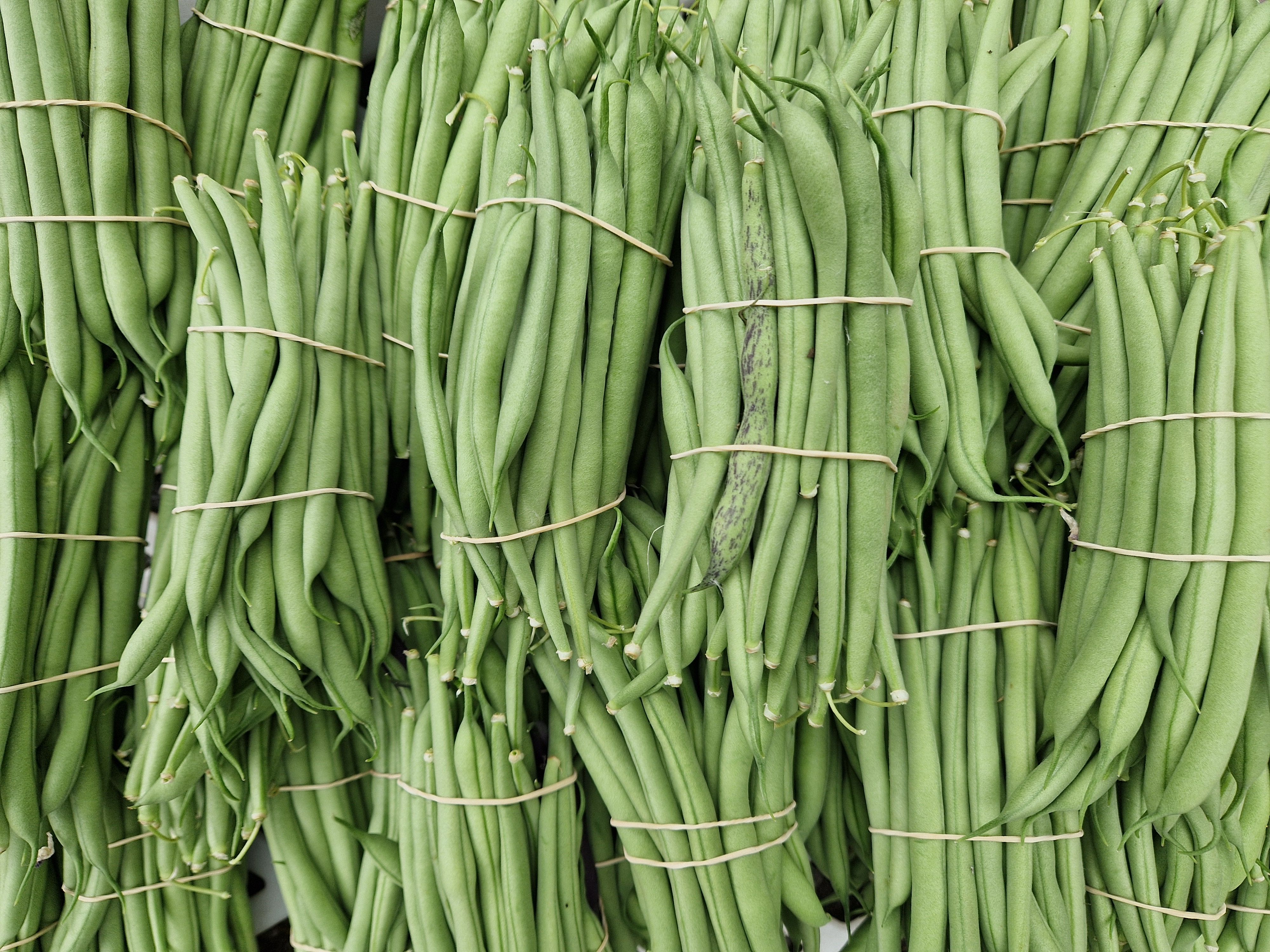 French Beans