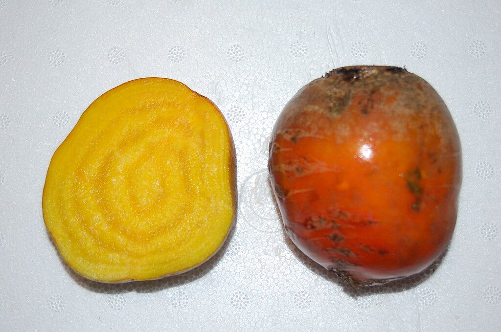 Beetroot, Golden