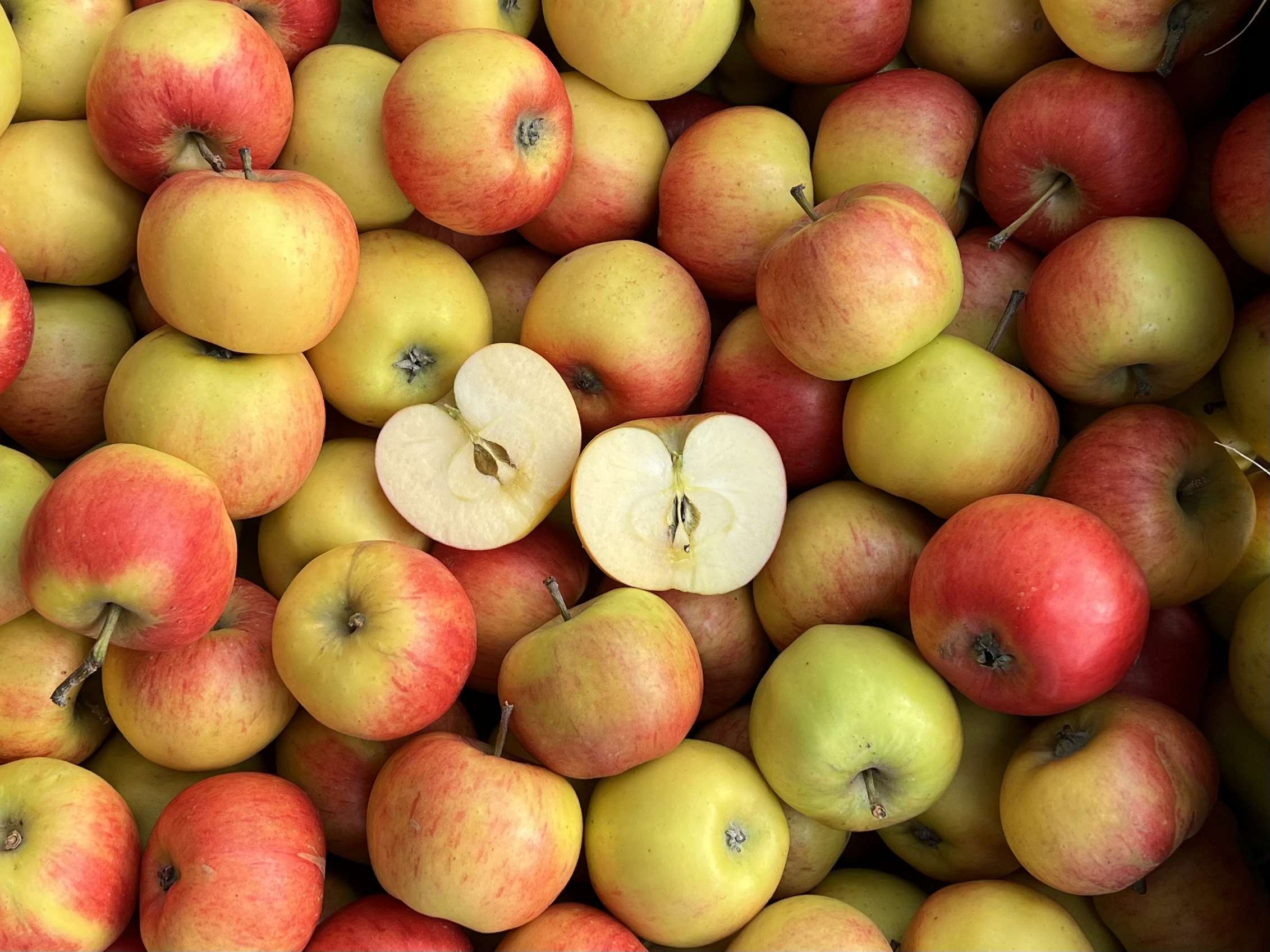 Image of Apple - Blaze (Organic)
(750g)