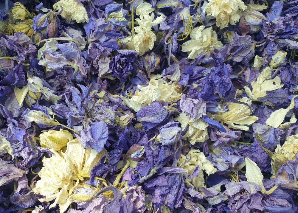 Image of Terms and Conditions